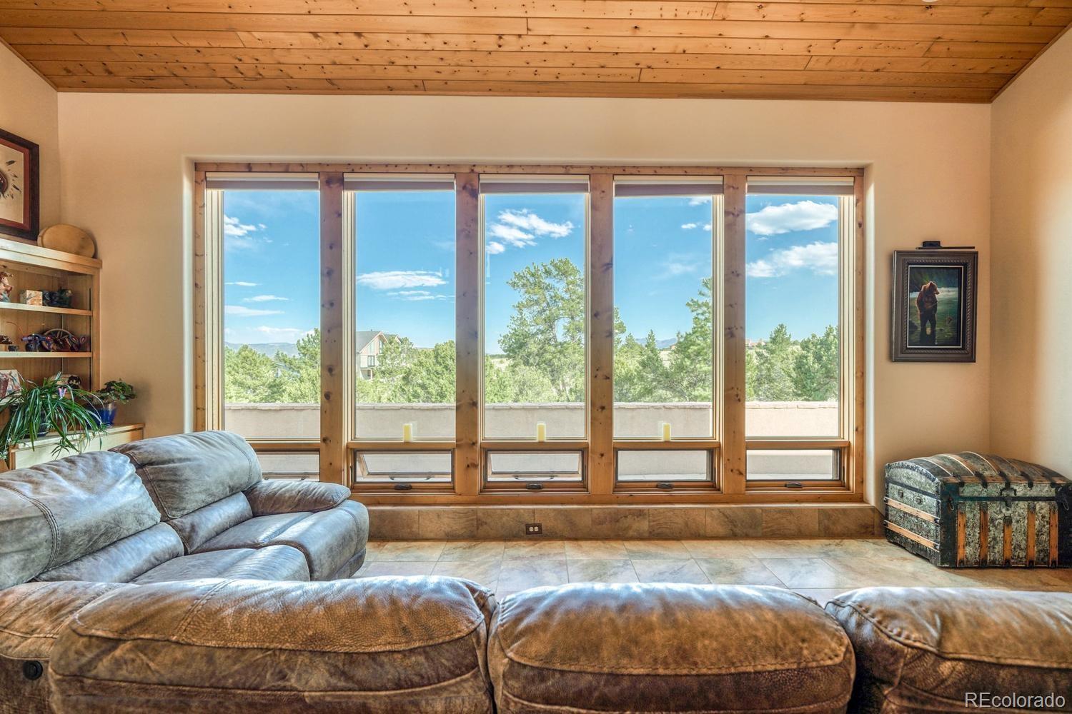 MLS Image #14 for 13120  county road 261 a ,nathrop, Colorado