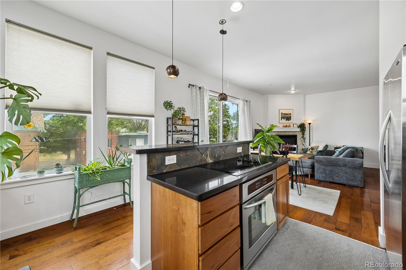 MLS Image #2 for 1738 n franklin street,denver, Colorado