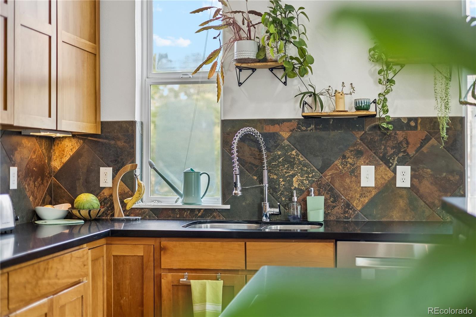 MLS Image #6 for 1738 n franklin street,denver, Colorado