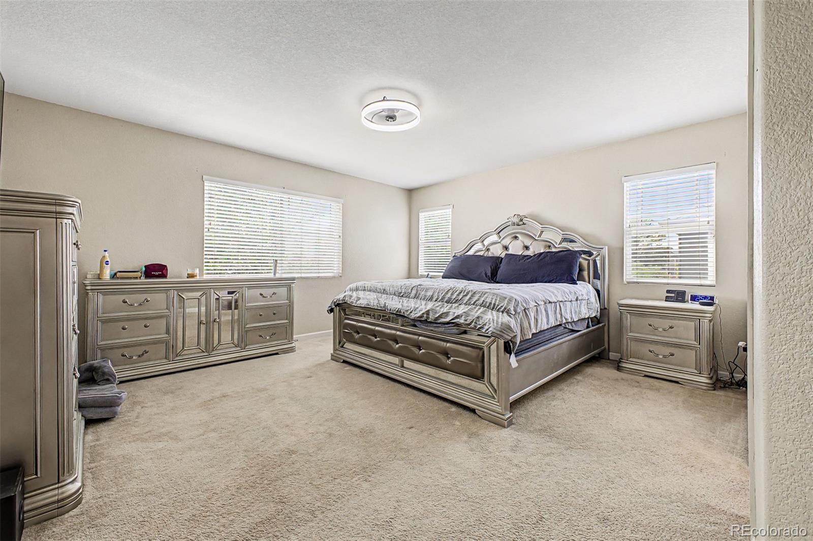 MLS Image #20 for 5564  royal pine street,brighton, Colorado