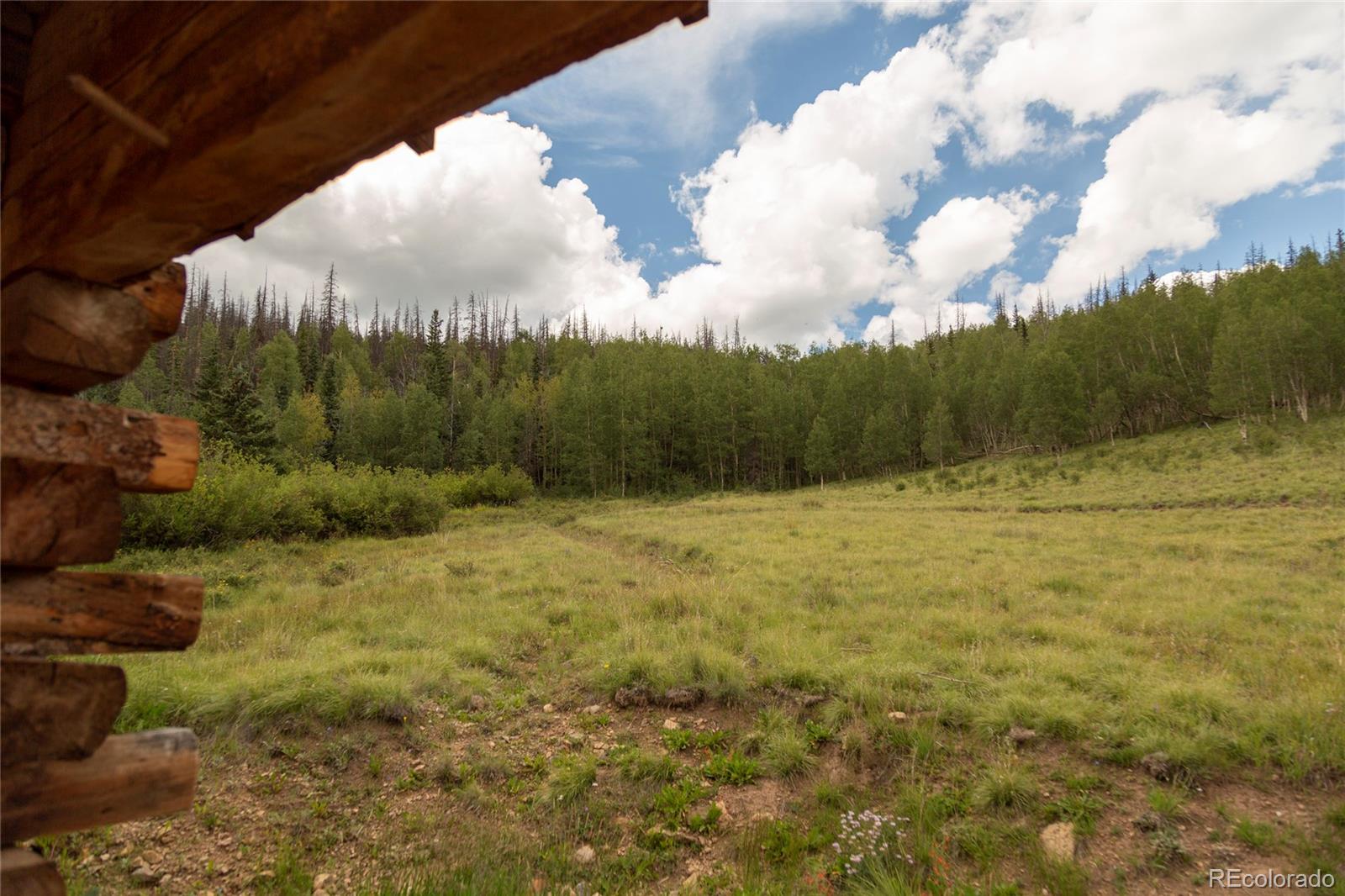 MLS Image #10 for 1001  cr 17 cebolla cabin ,lake city, Colorado
