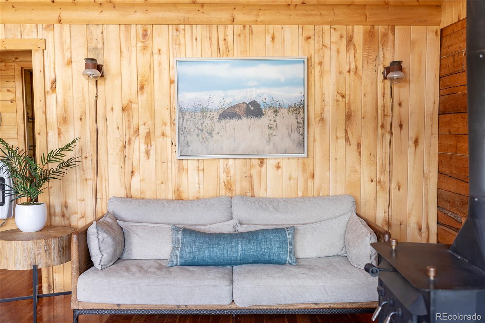 MLS Image #13 for 1001  cr 17 cebolla cabin ,lake city, Colorado