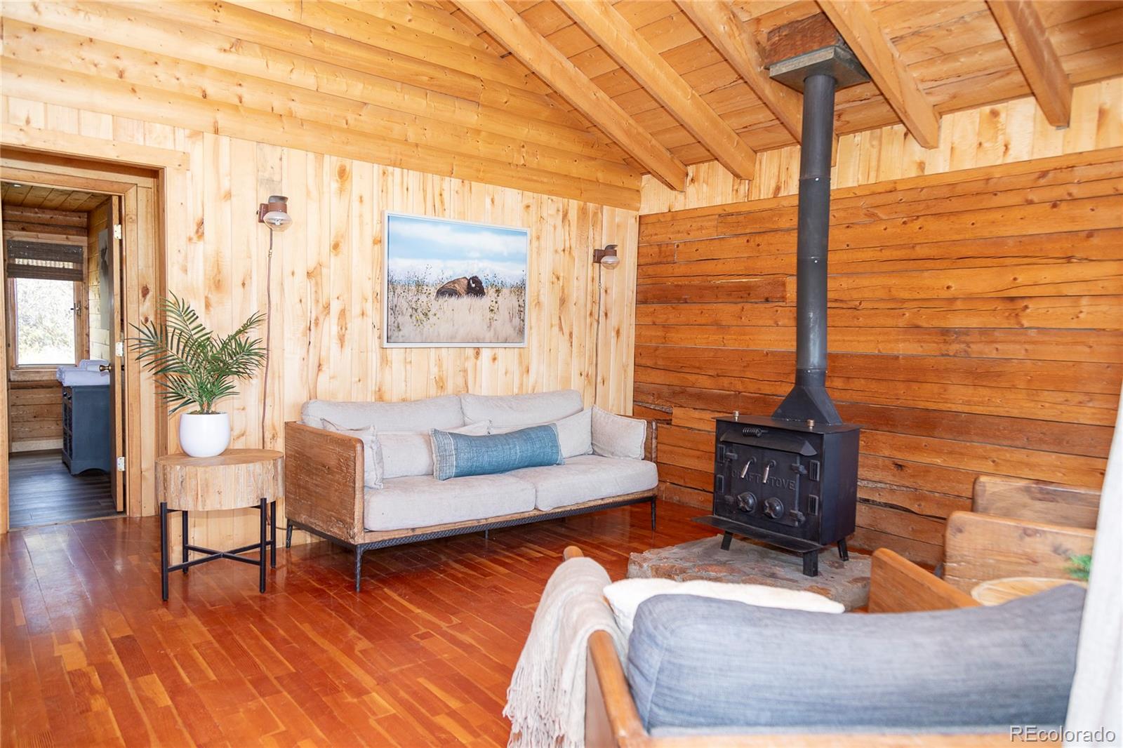 MLS Image #16 for 1001  cr 17 cebolla cabin ,lake city, Colorado