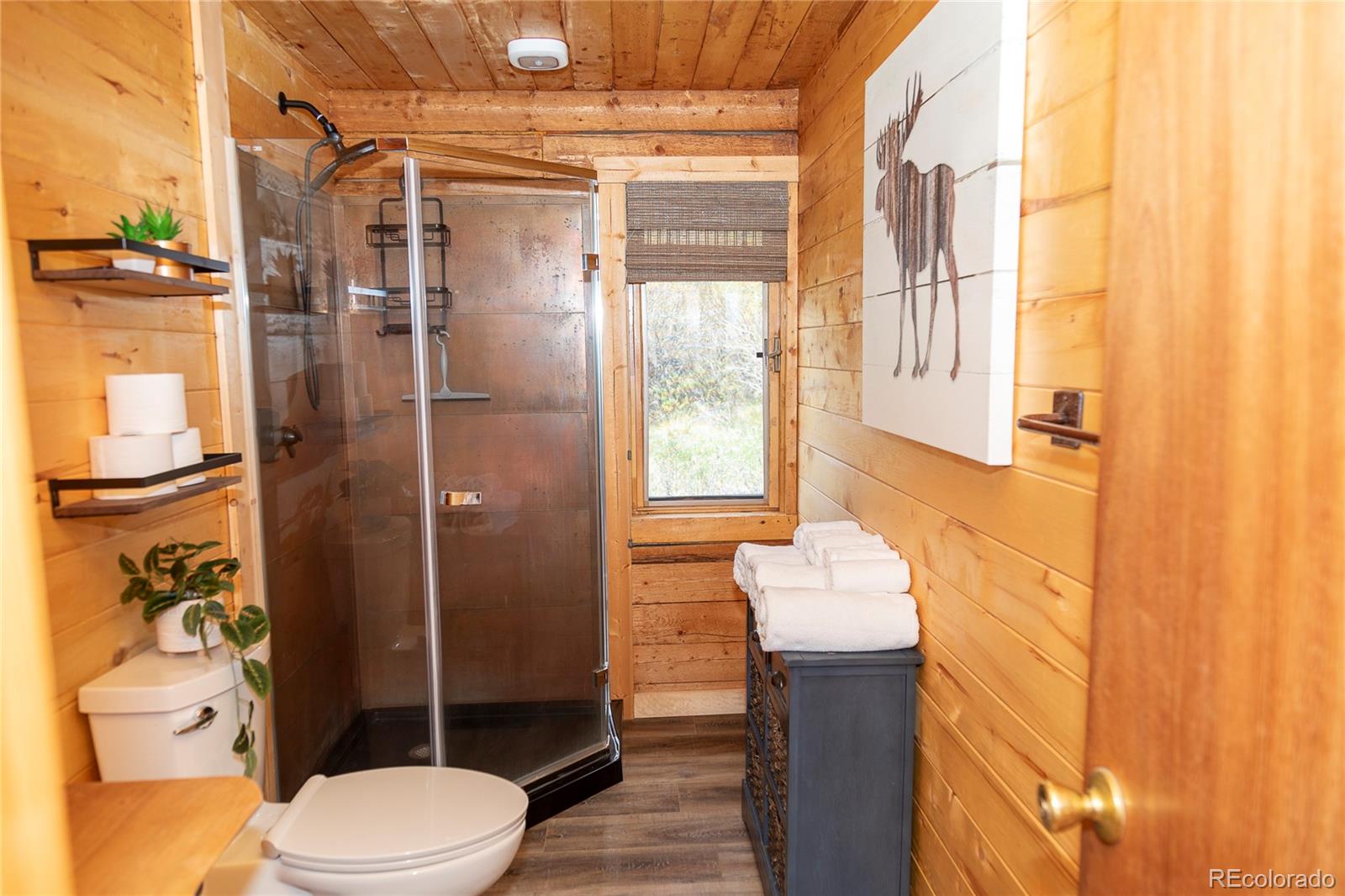 MLS Image #23 for 1001  cr 17 cebolla cabin ,lake city, Colorado