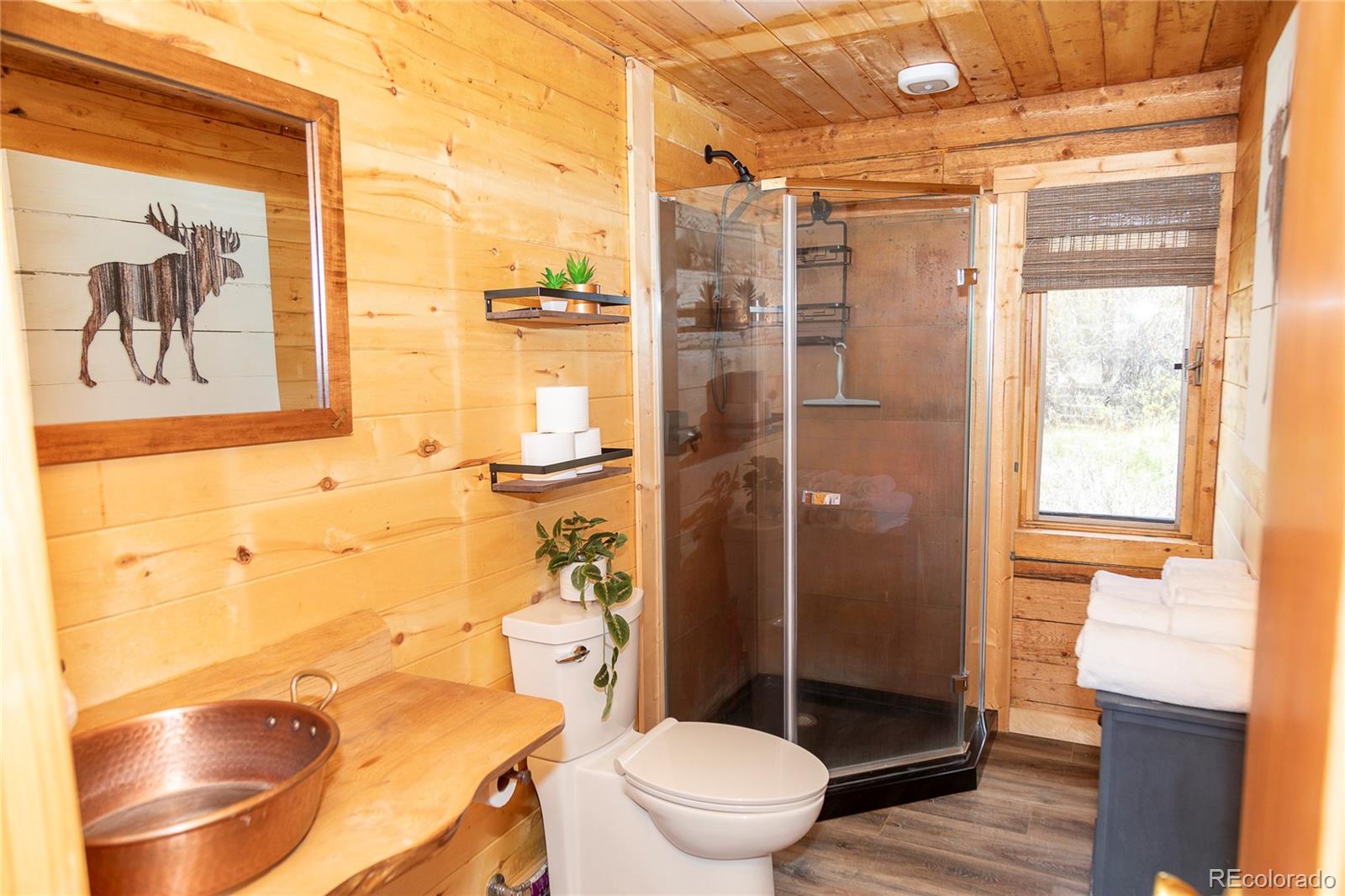 MLS Image #24 for 1001  cr 17 cebolla cabin ,lake city, Colorado