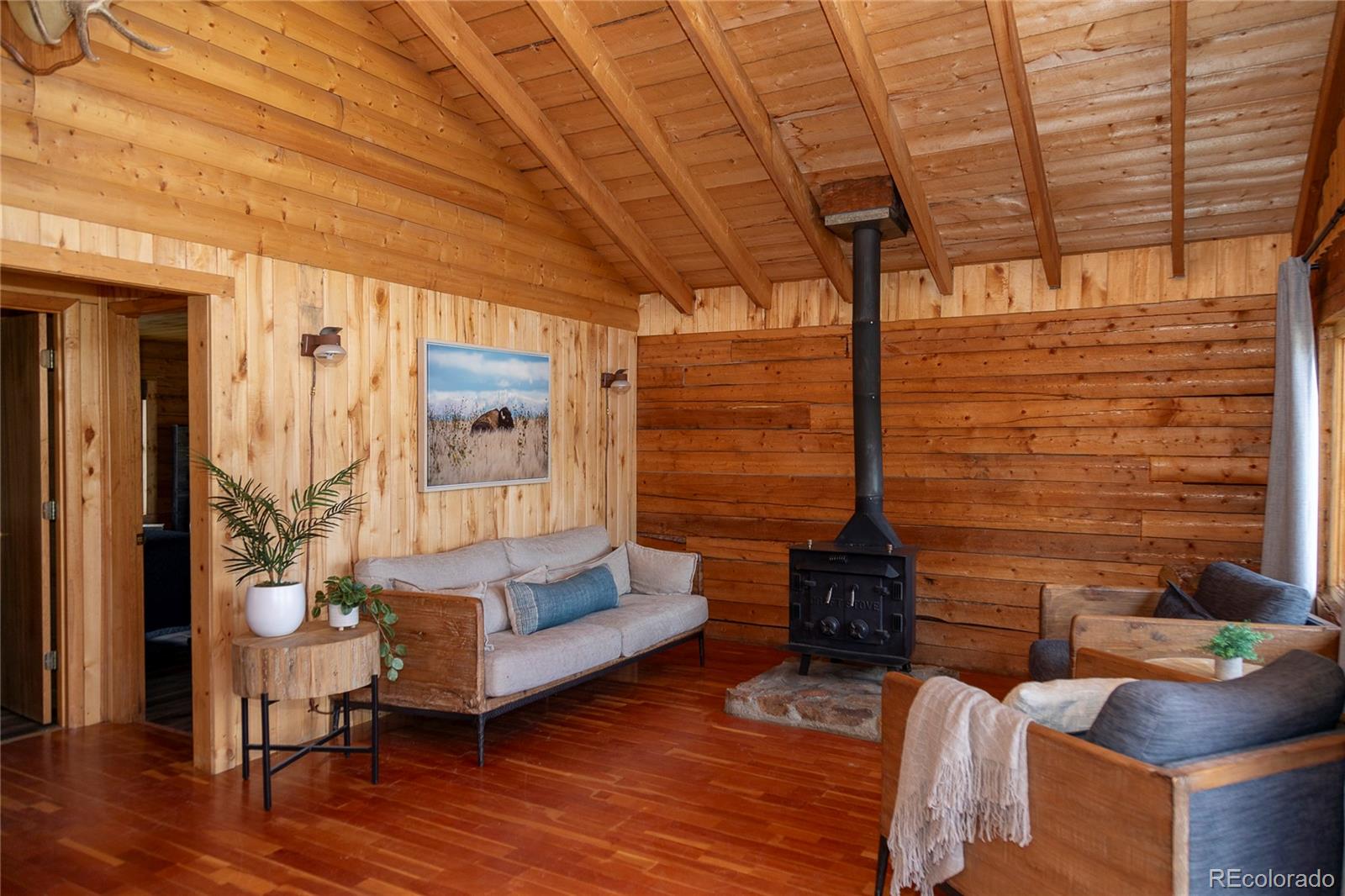 MLS Image #35 for 1001  cr 17 cebolla cabin ,lake city, Colorado