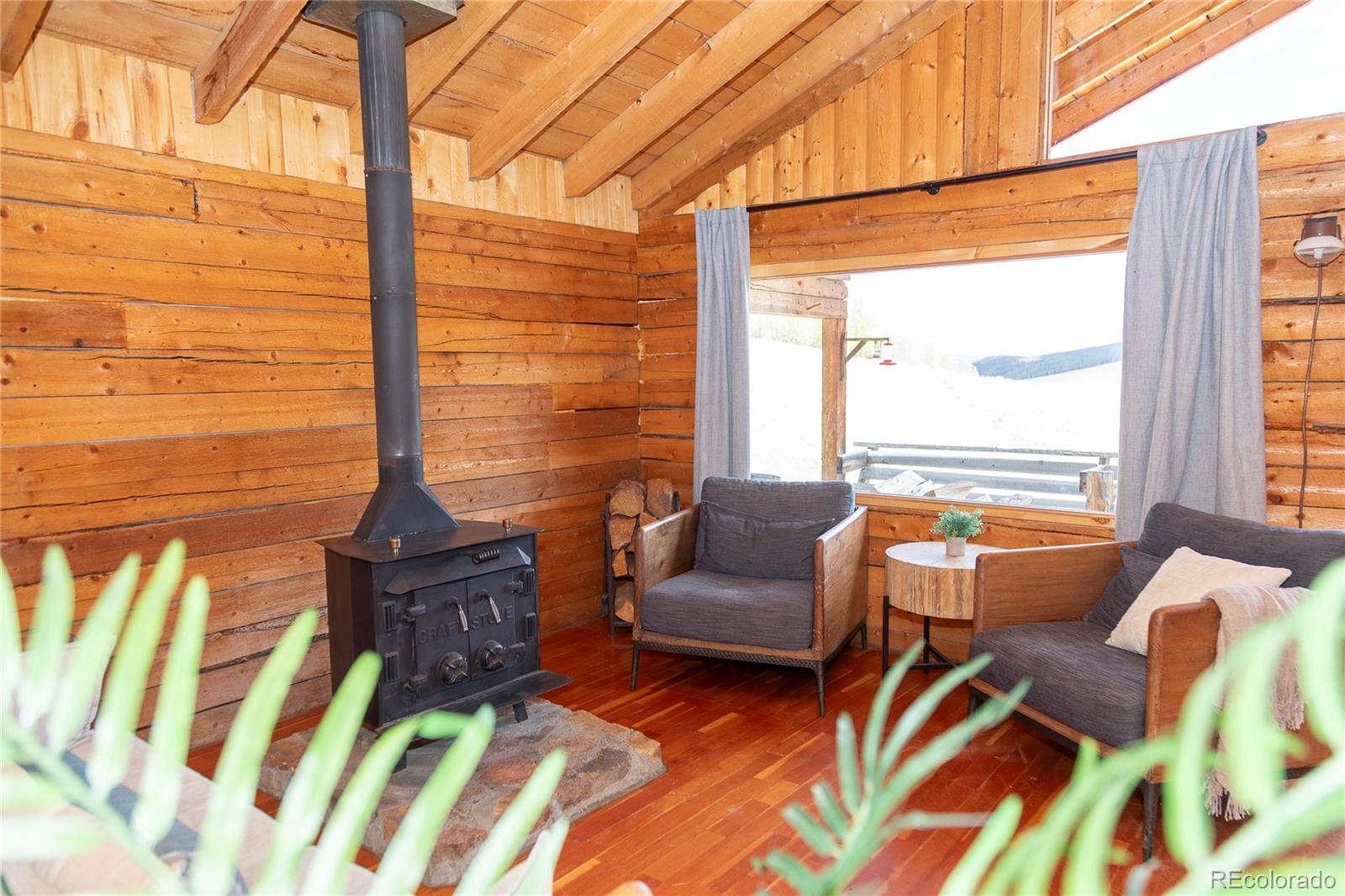 MLS Image #5 for 1001  cr 17 cebolla cabin ,lake city, Colorado