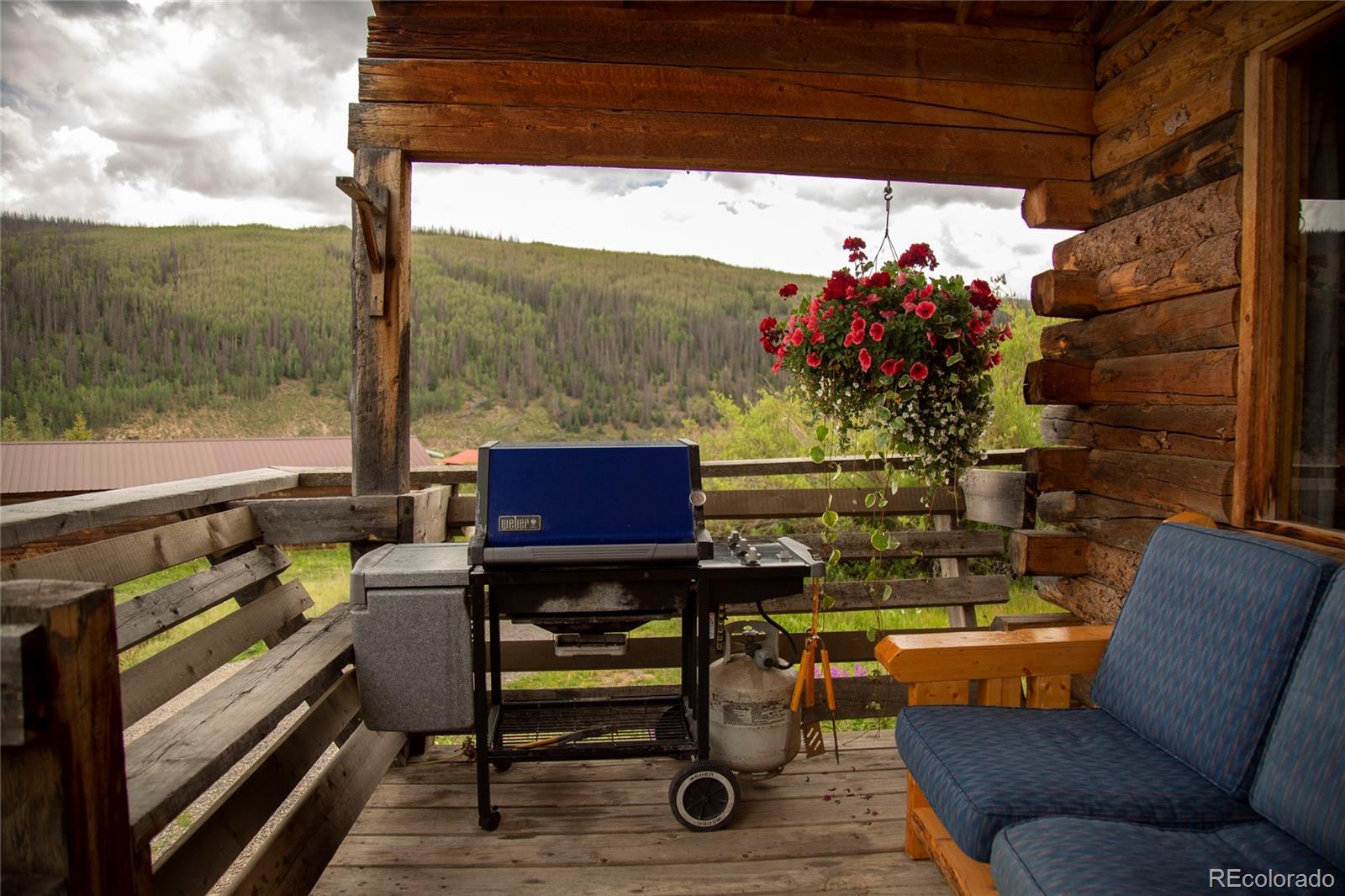 MLS Image #7 for 1001  cr 17 cebolla cabin ,lake city, Colorado
