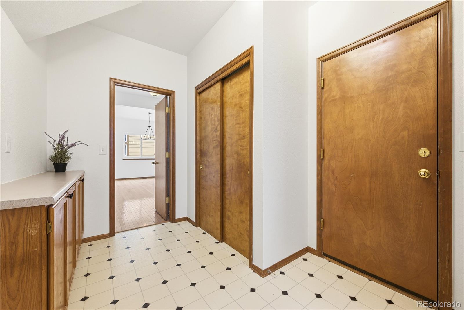 MLS Image #18 for 4333  snowbird avenue,broomfield, Colorado