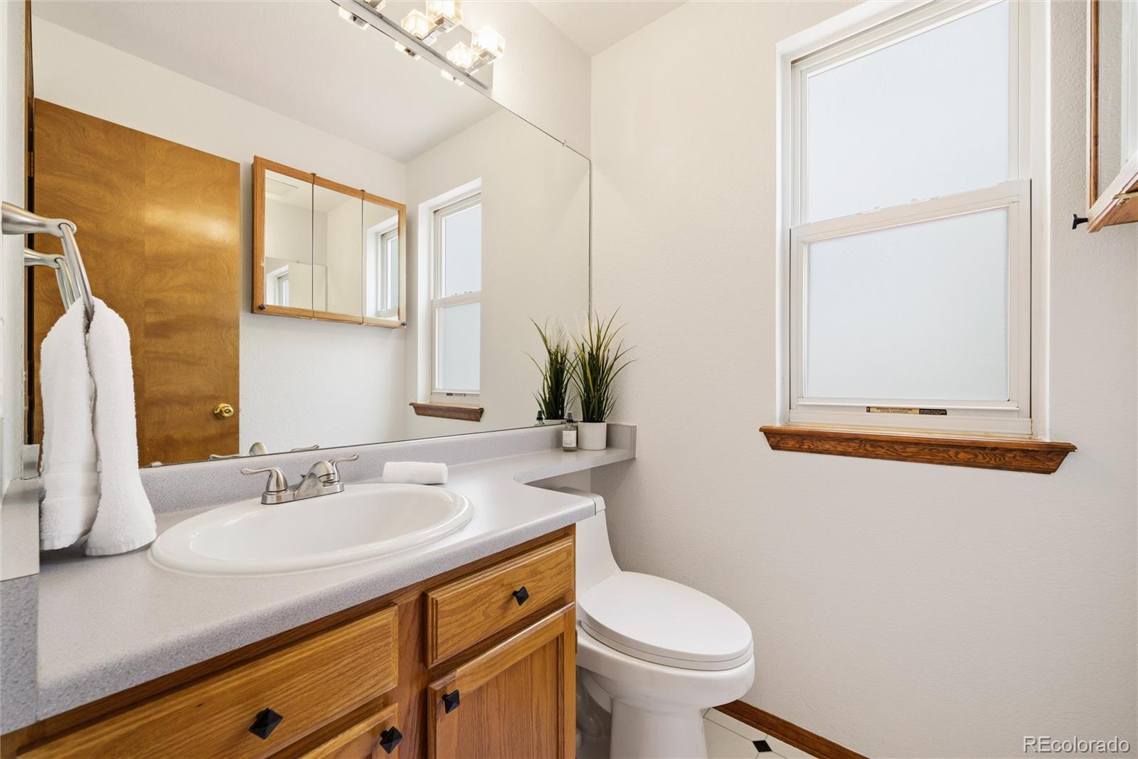 MLS Image #19 for 4333  snowbird avenue,broomfield, Colorado