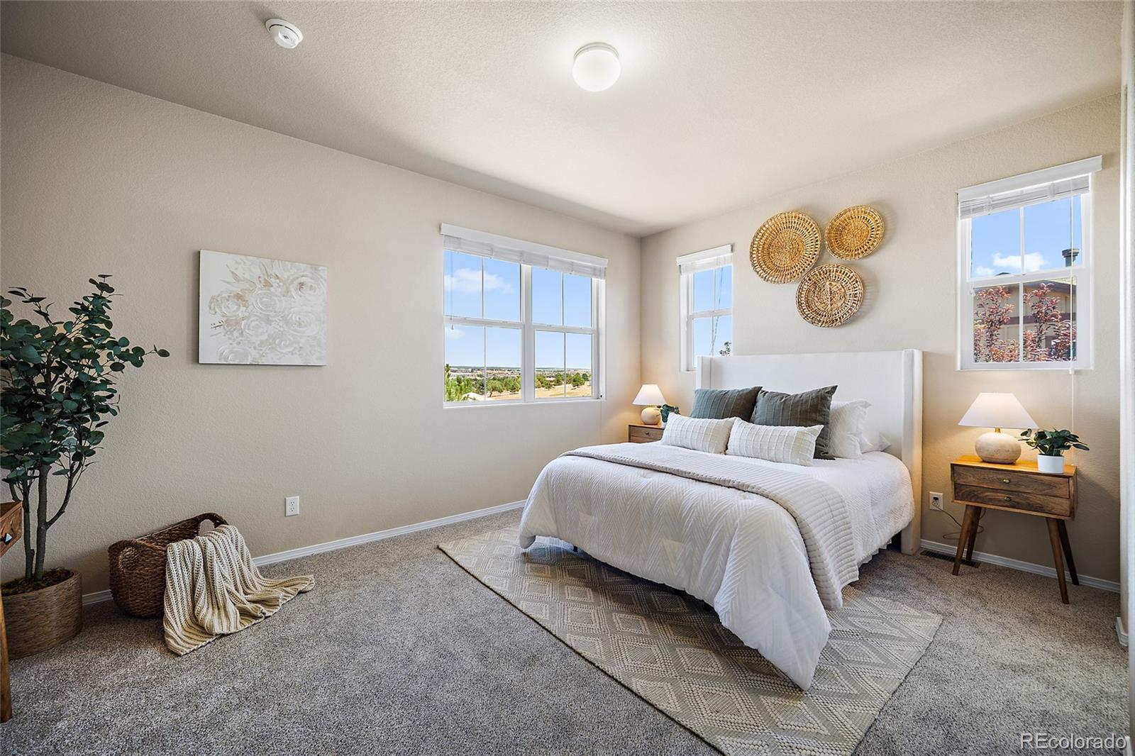 MLS Image #10 for 5348  prominence point,colorado springs, Colorado