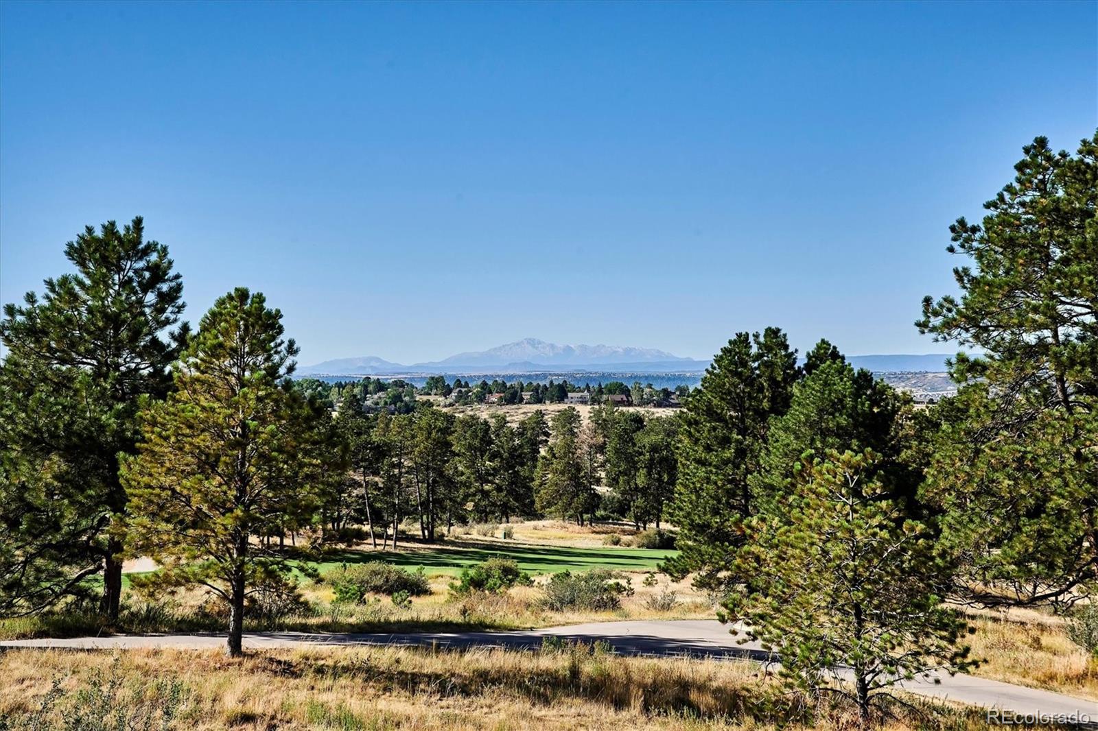 MLS Image #14 for 7808  majestic sky drive,parker, Colorado