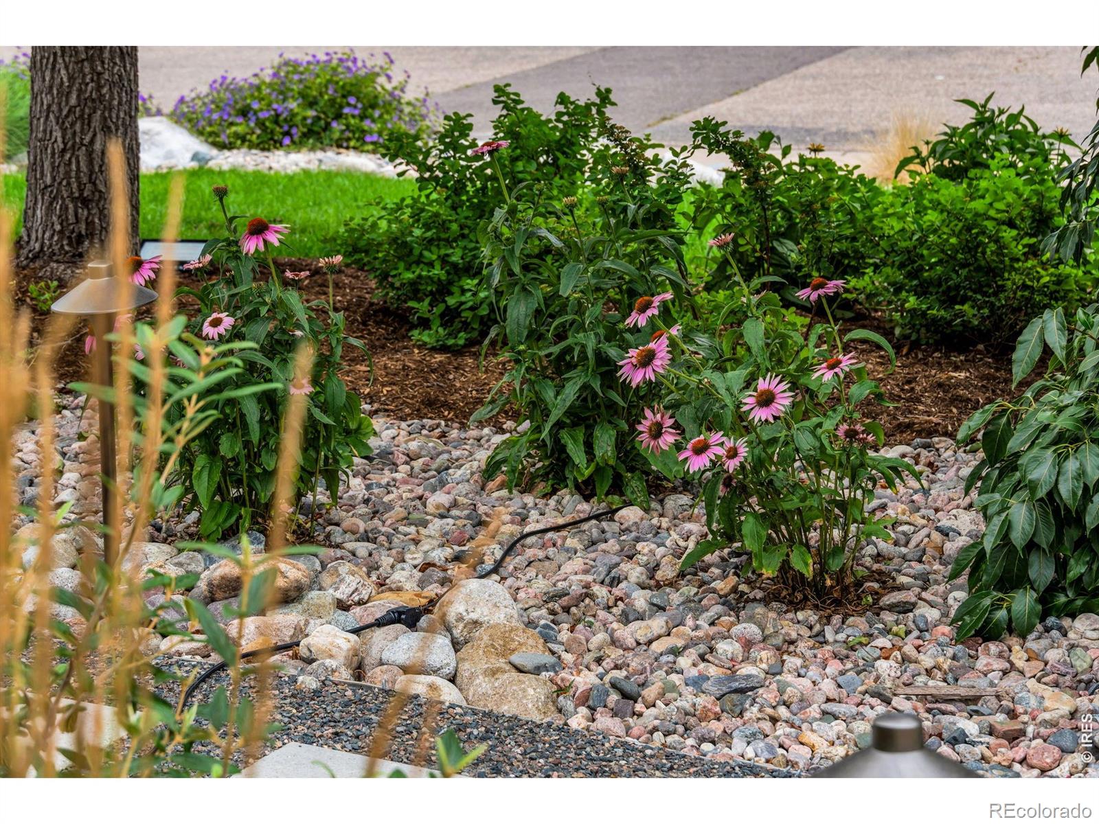 MLS Image #23 for 3294  grizzly way,wellington, Colorado
