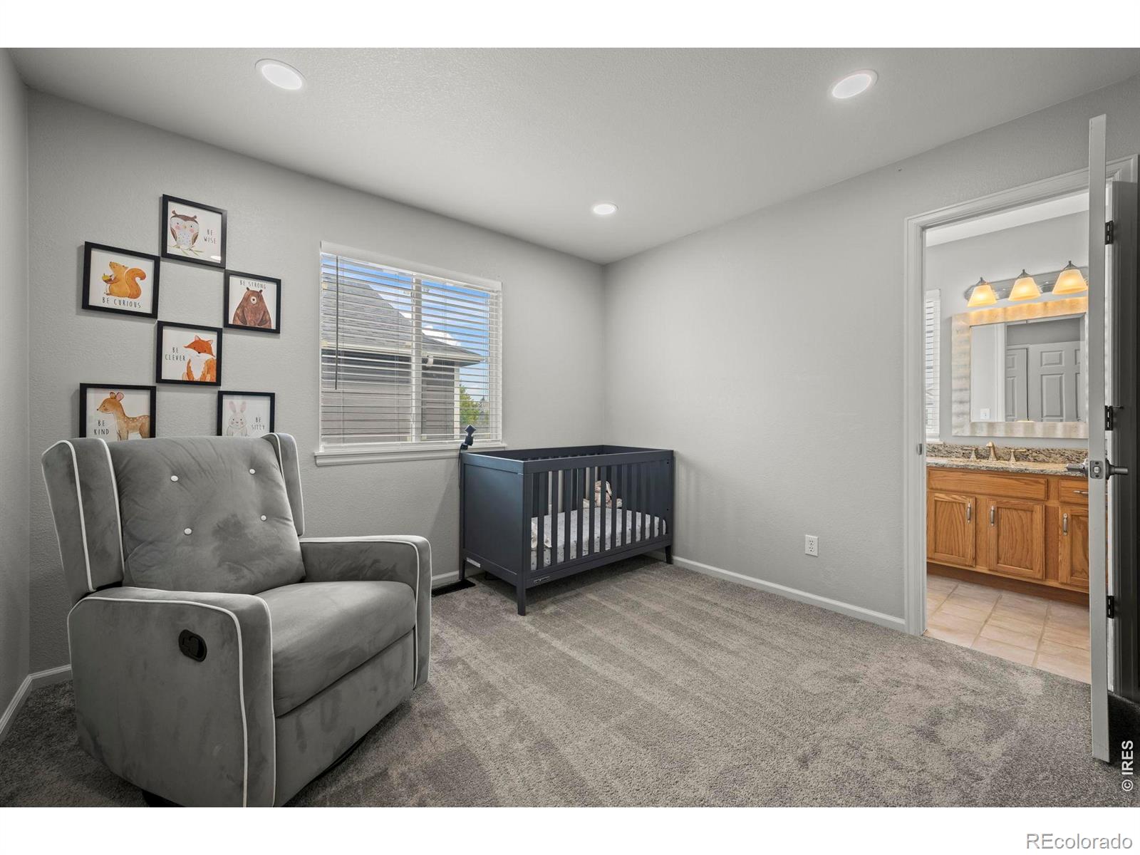MLS Image #15 for 1617  daily drive,erie, Colorado
