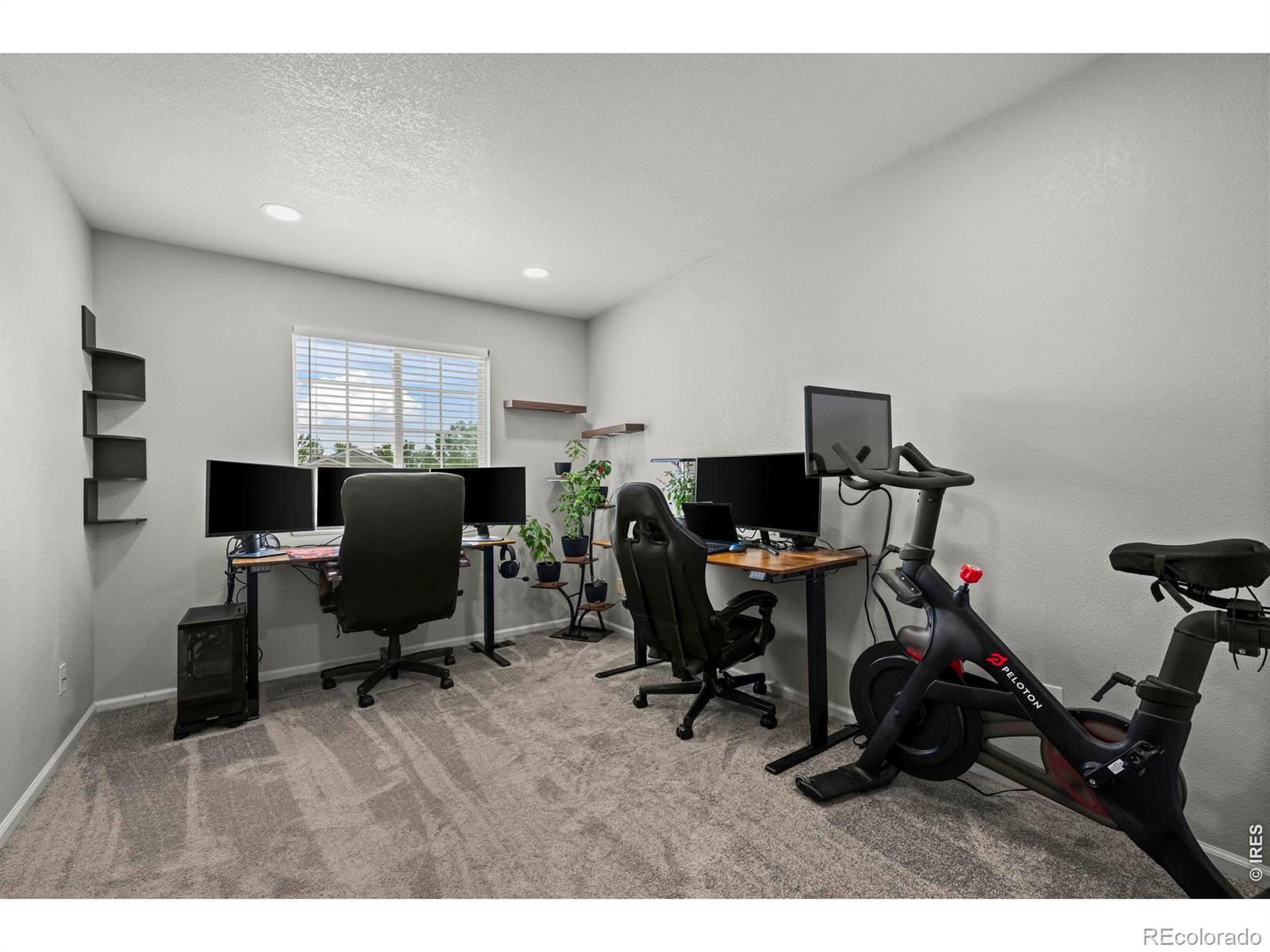 MLS Image #17 for 1617  daily drive,erie, Colorado