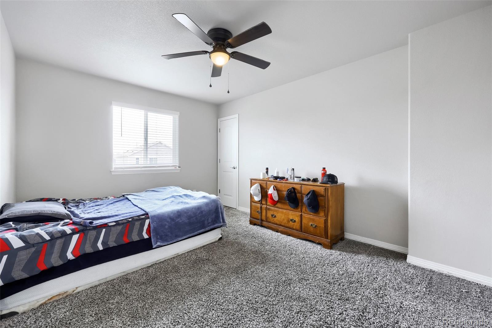 MLS Image #15 for 6461  vedder drive,colorado springs, Colorado