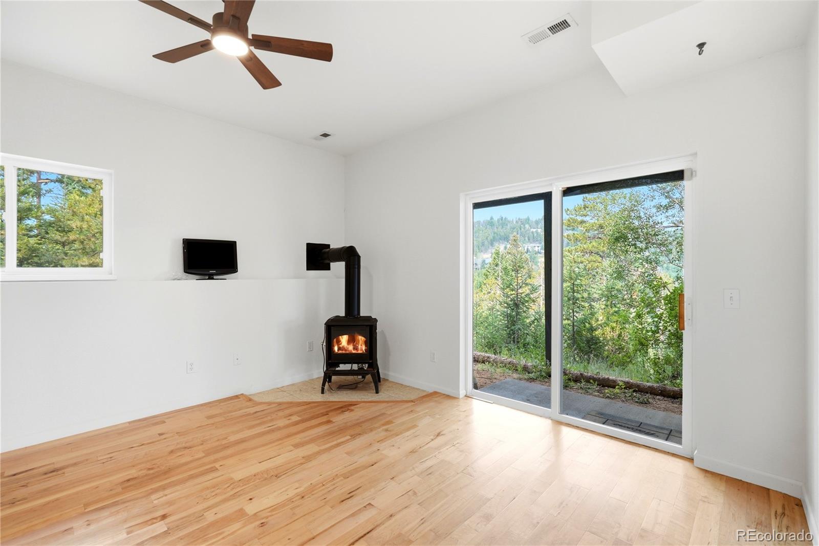 MLS Image #23 for 6932  snowshoe trail,evergreen, Colorado