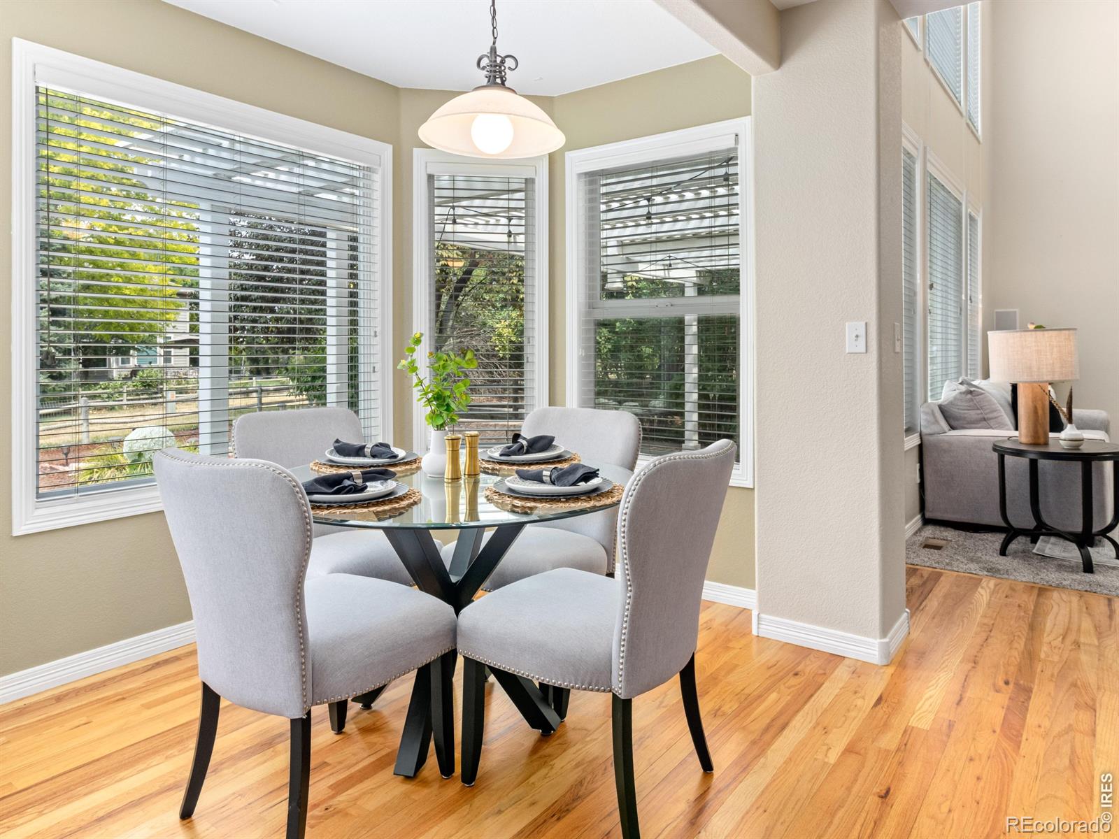 MLS Image #16 for 5420  tiller court,windsor, Colorado