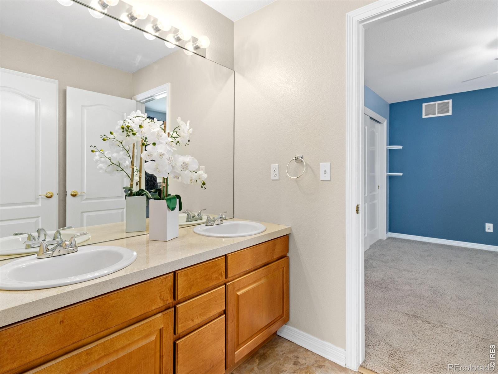 MLS Image #32 for 5420  tiller court,windsor, Colorado