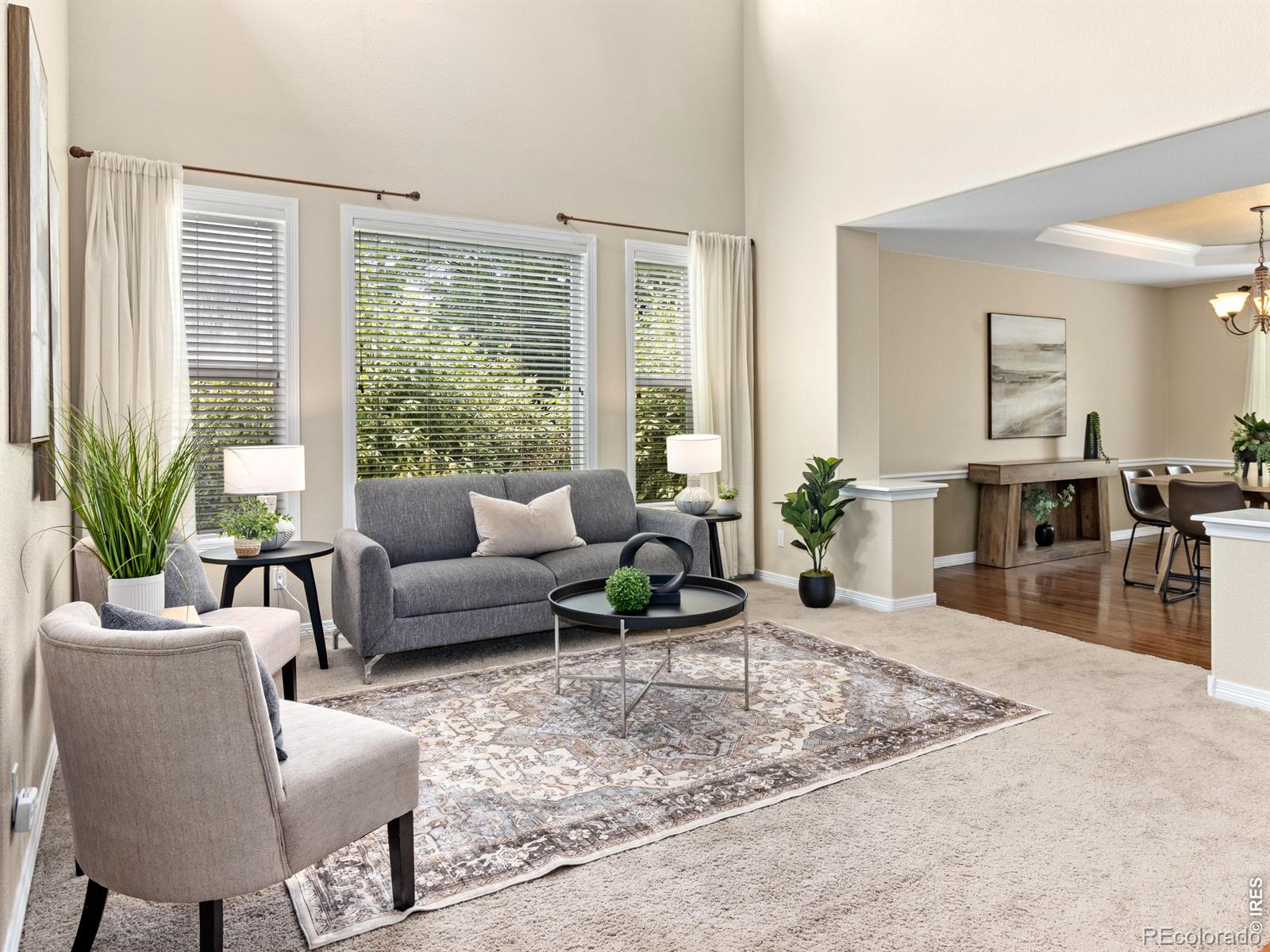 MLS Image #9 for 5420  tiller court,windsor, Colorado