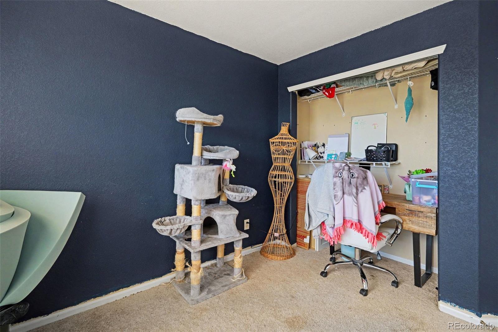 MLS Image #11 for 87  peabody street,castle rock, Colorado