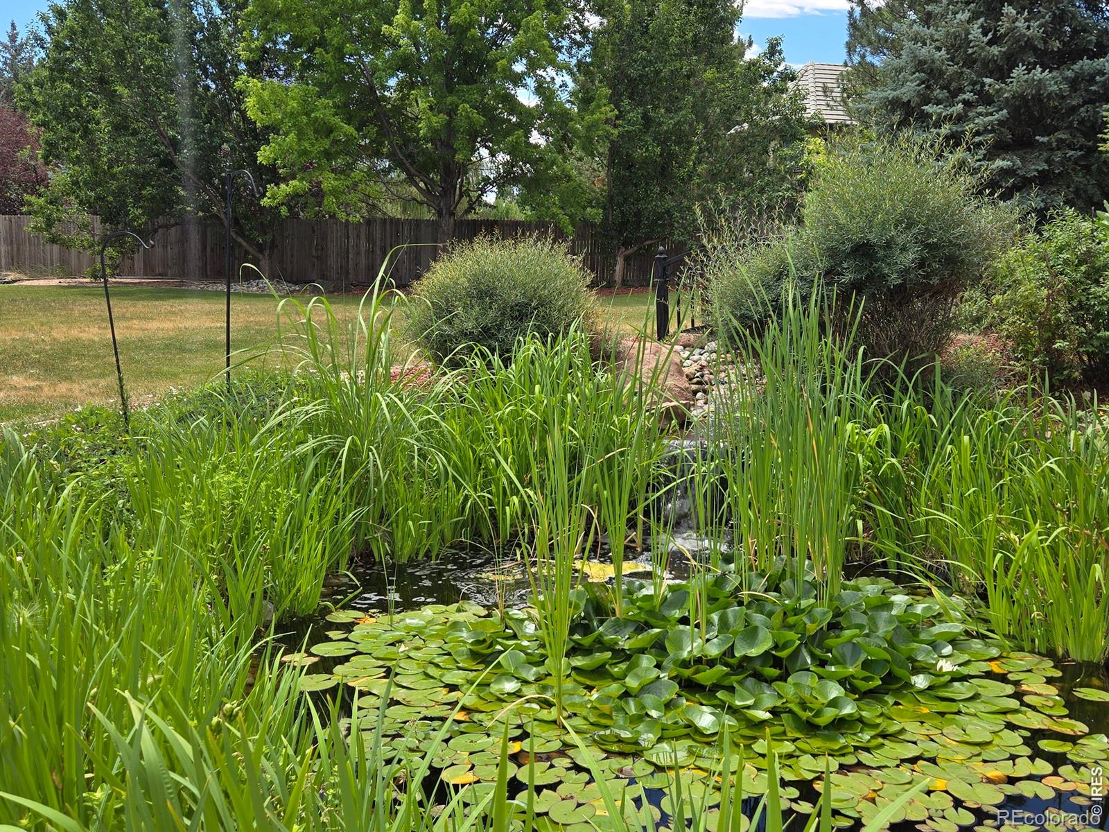 MLS Image #10 for 6600 w 20th street,greeley, Colorado
