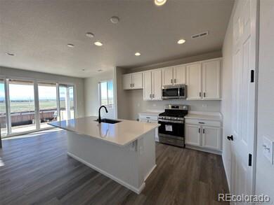 MLS Image #10 for 1763  papuan court,brighton, Colorado