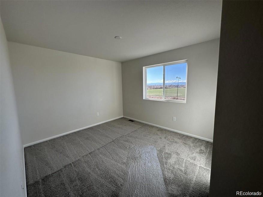 MLS Image #5 for 1763  papuan court,brighton, Colorado