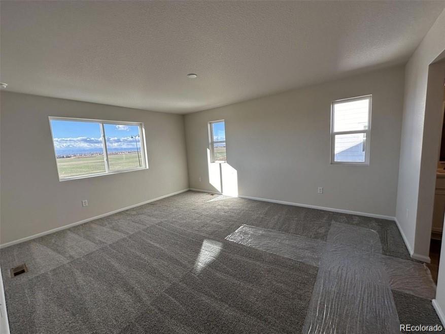 MLS Image #6 for 1763  papuan court,brighton, Colorado