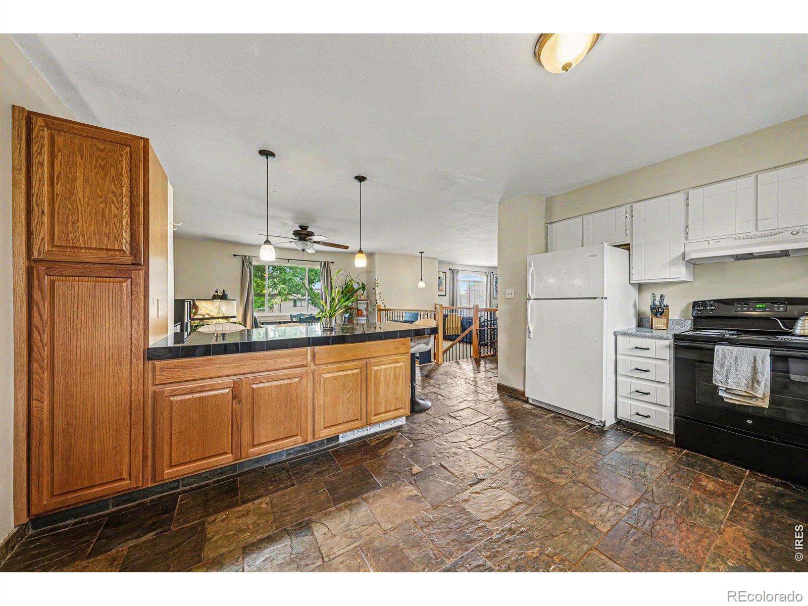 MLS Image #5 for 2421 w plum street,fort collins, Colorado