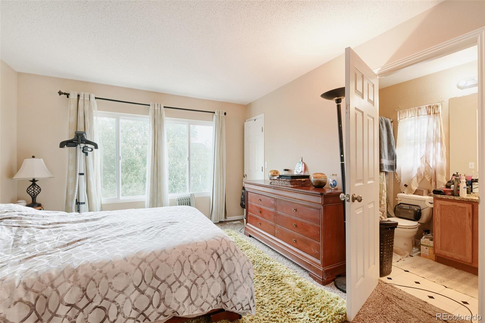MLS Image #20 for 15698 e 51st drive,denver, Colorado