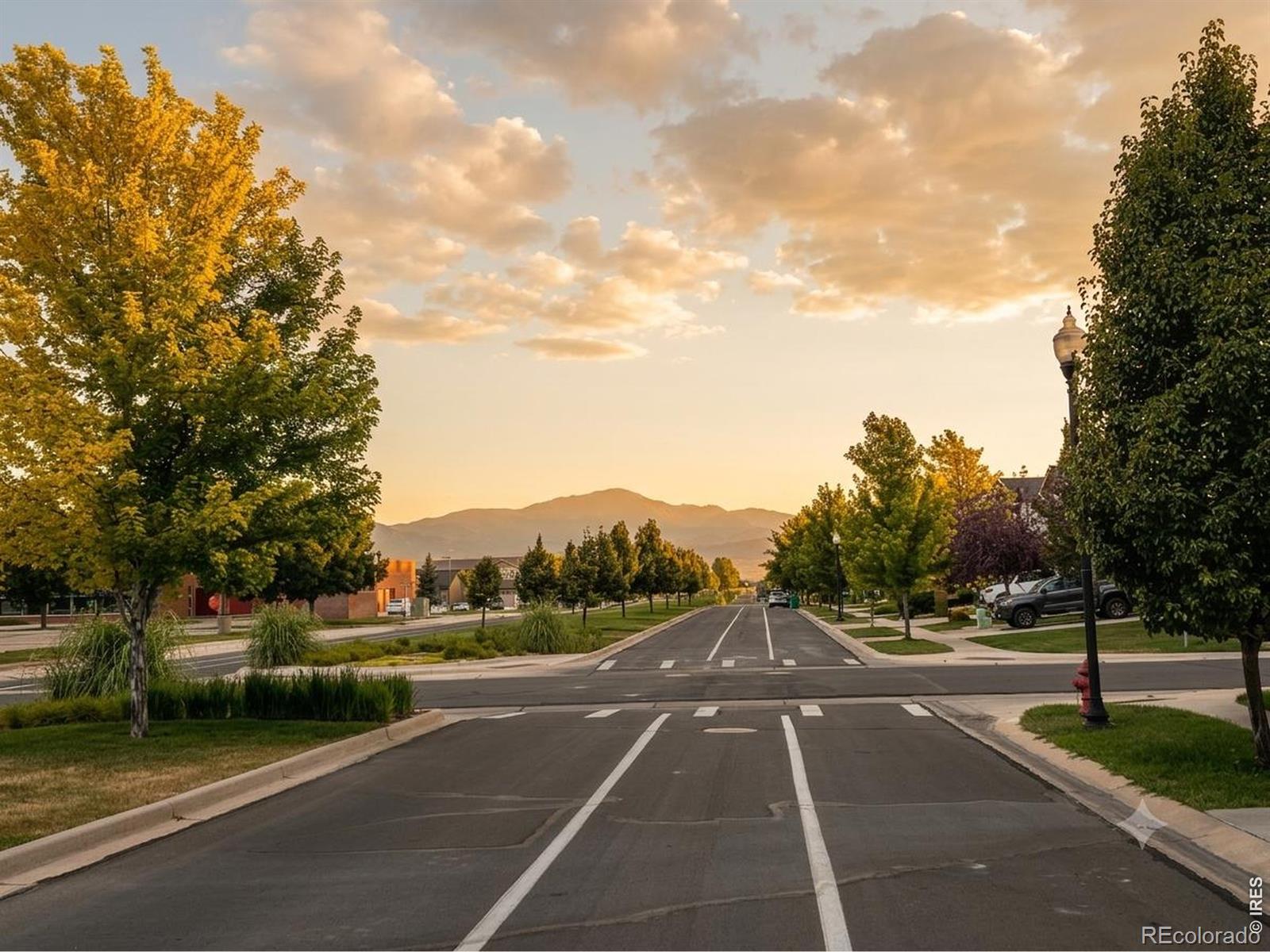 MLS Image #25 for 371  stoll drive,windsor, Colorado