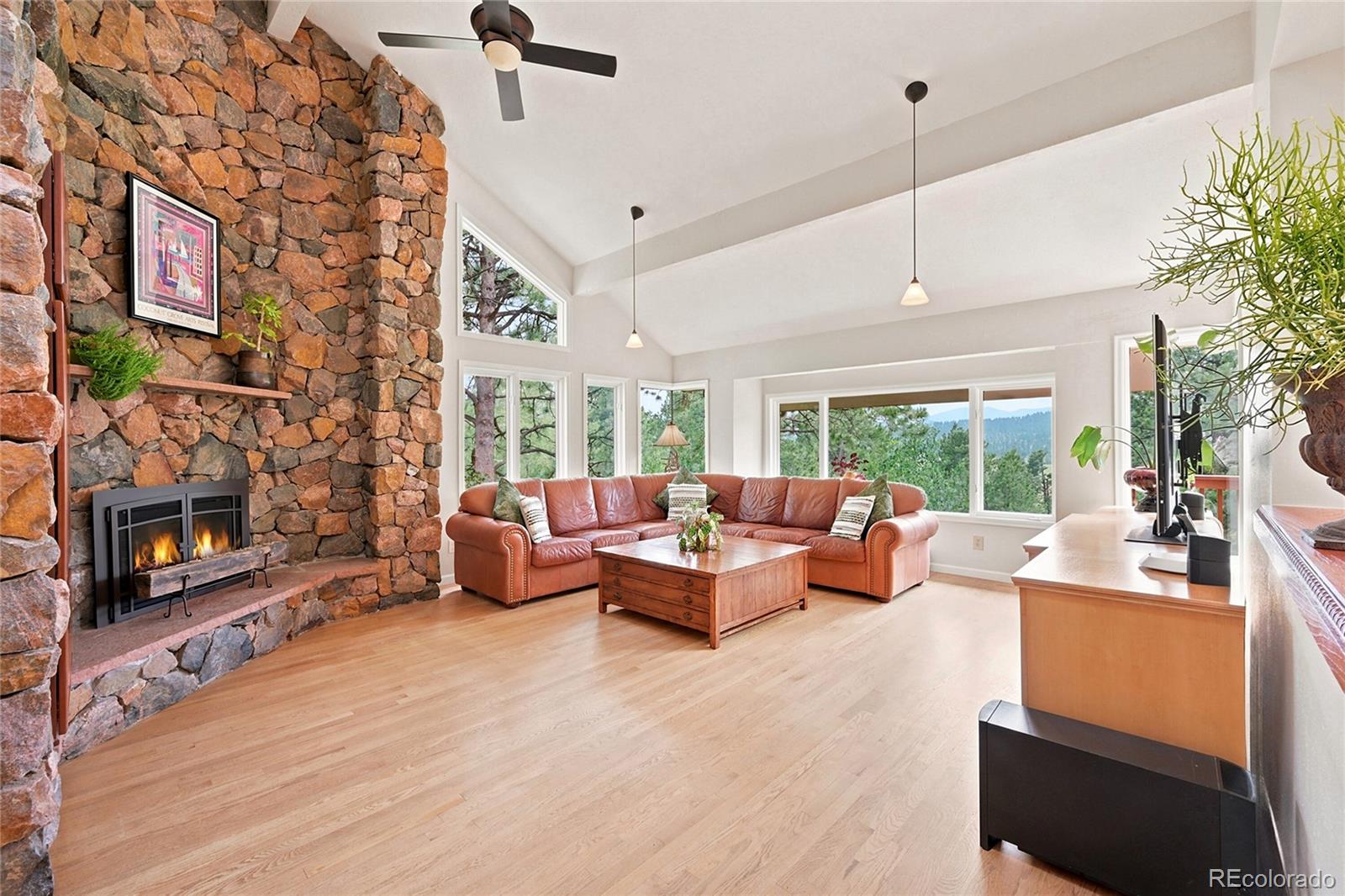 MLS Image #4 for 2161  torrey pine drive,evergreen, Colorado