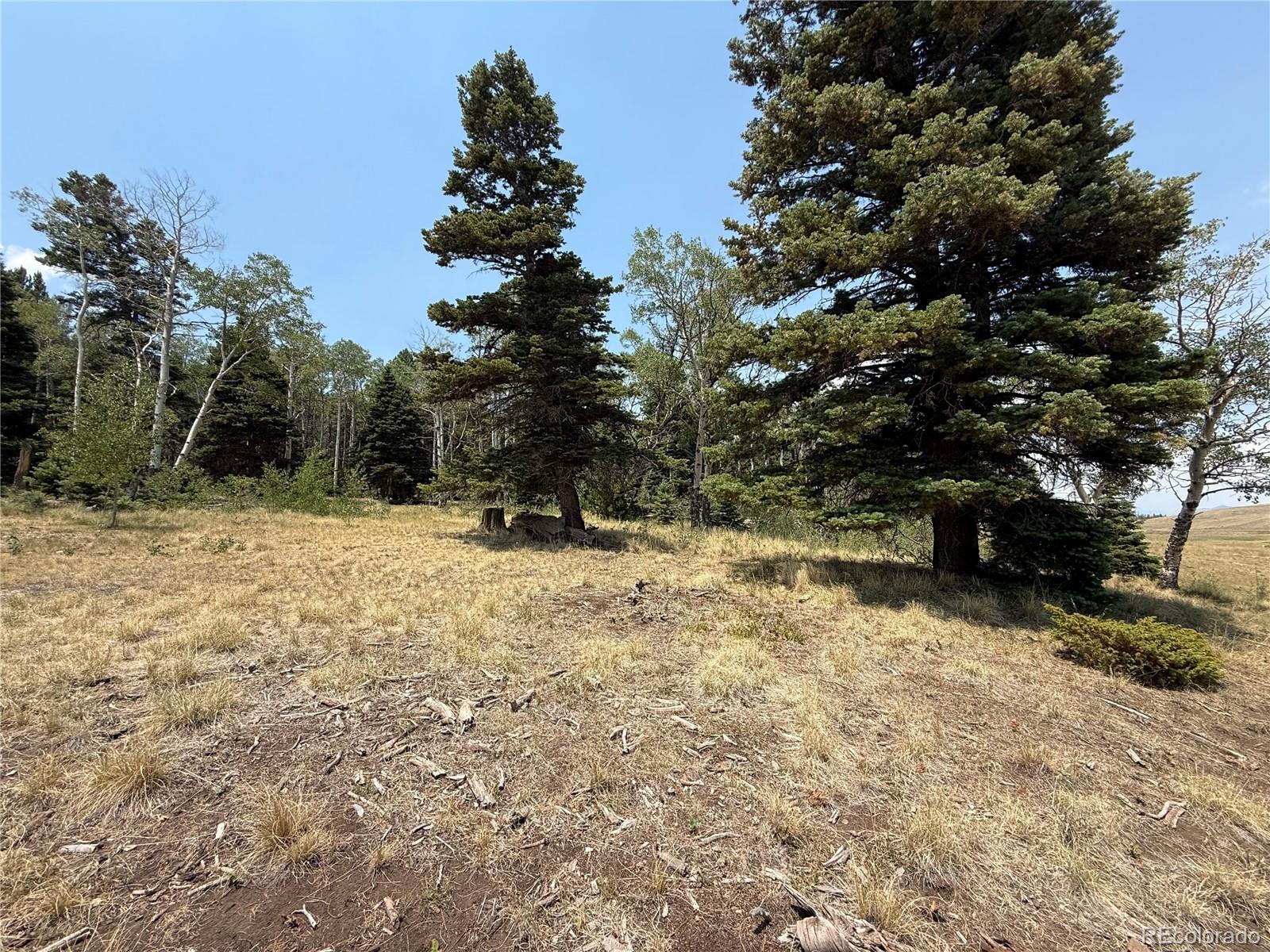MLS Image #10 for 2357  benton place,fort garland, Colorado