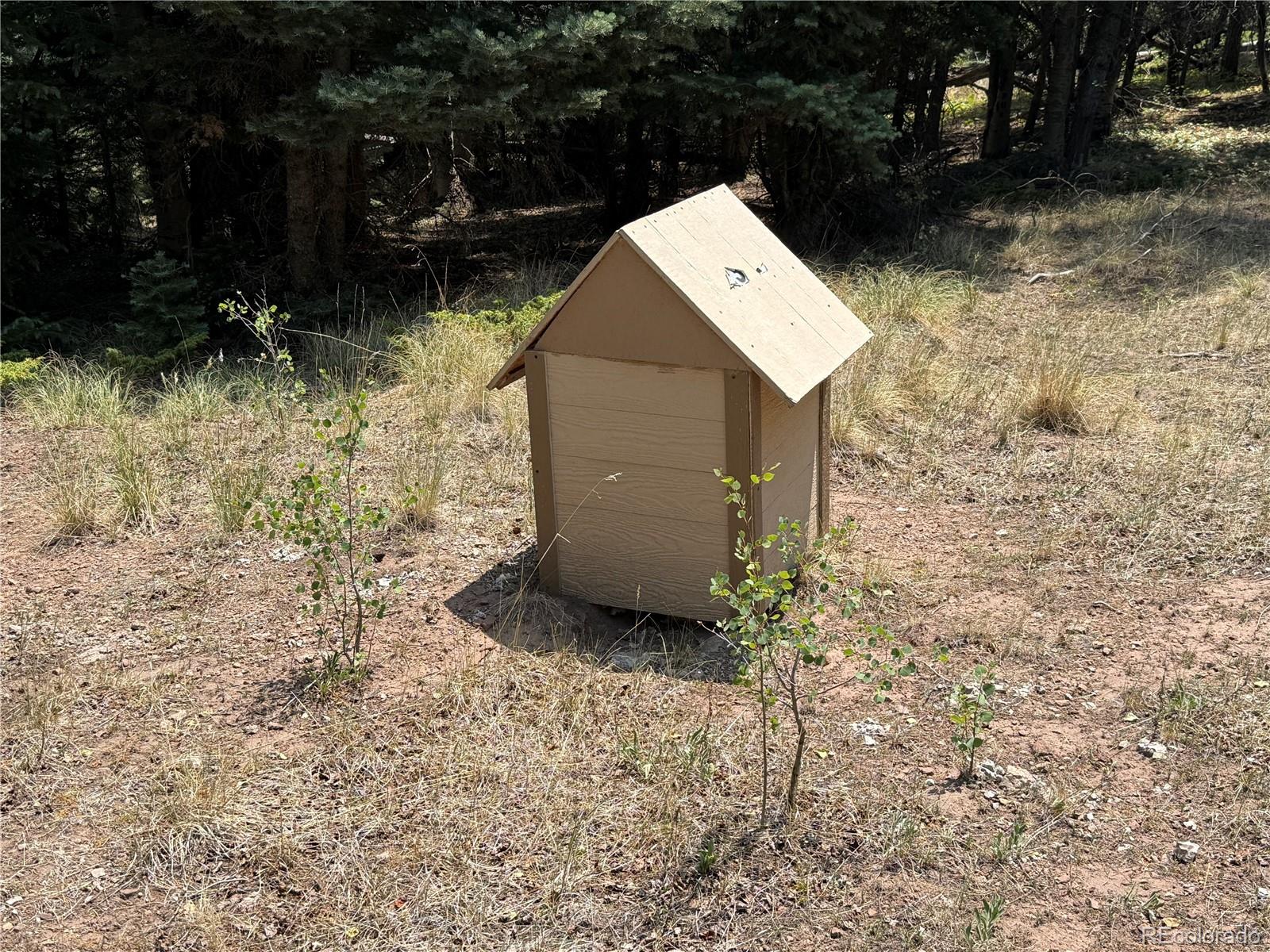 MLS Image #11 for 2357  benton place,fort garland, Colorado
