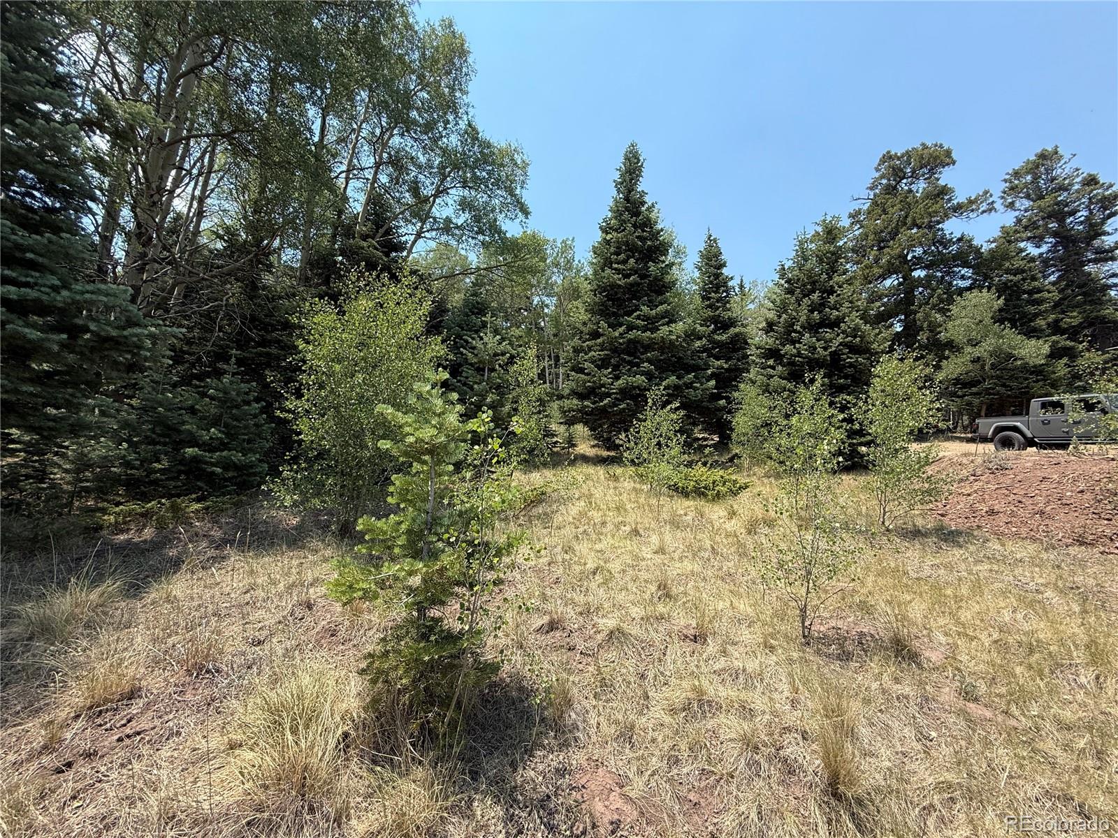 MLS Image #13 for 2357  benton place,fort garland, Colorado
