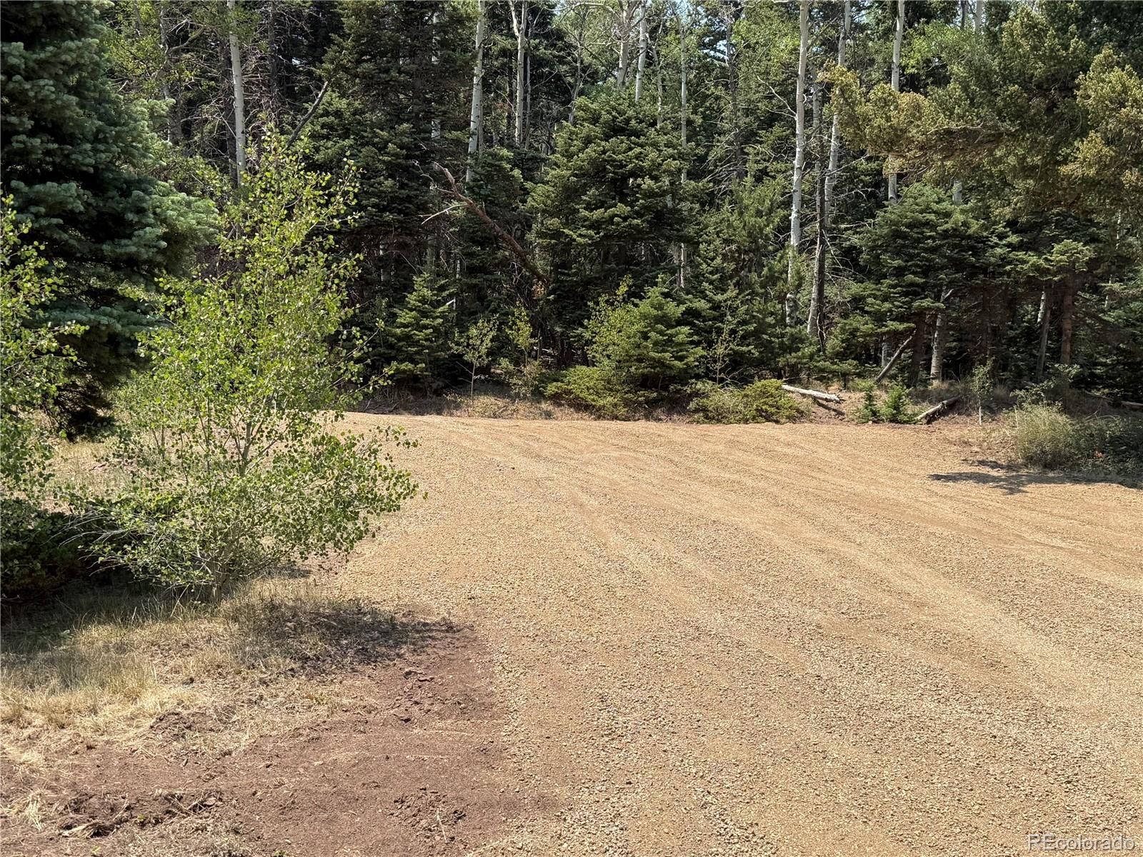 MLS Image #15 for 2357  benton place,fort garland, Colorado