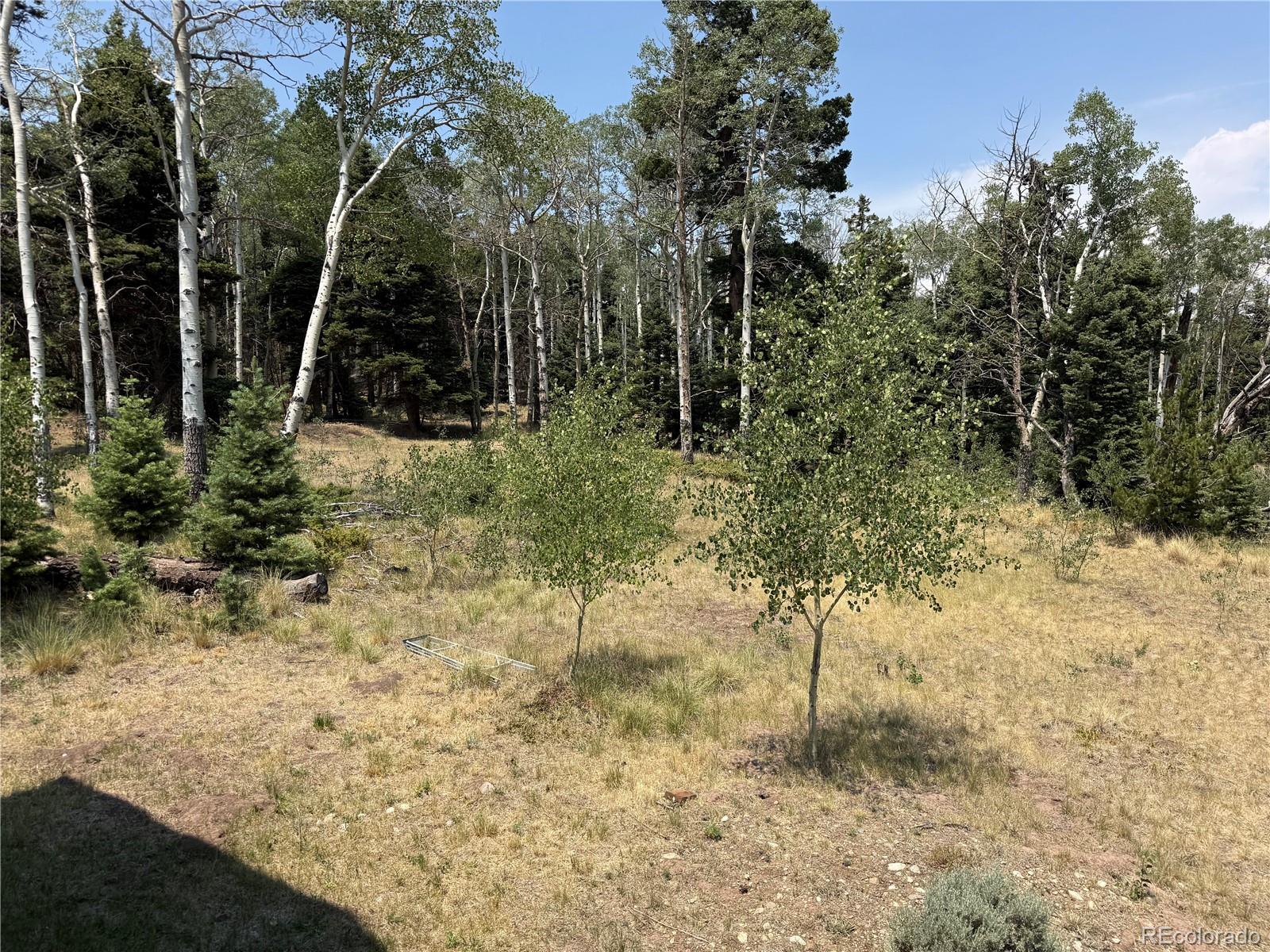 MLS Image #16 for 2357  benton place,fort garland, Colorado