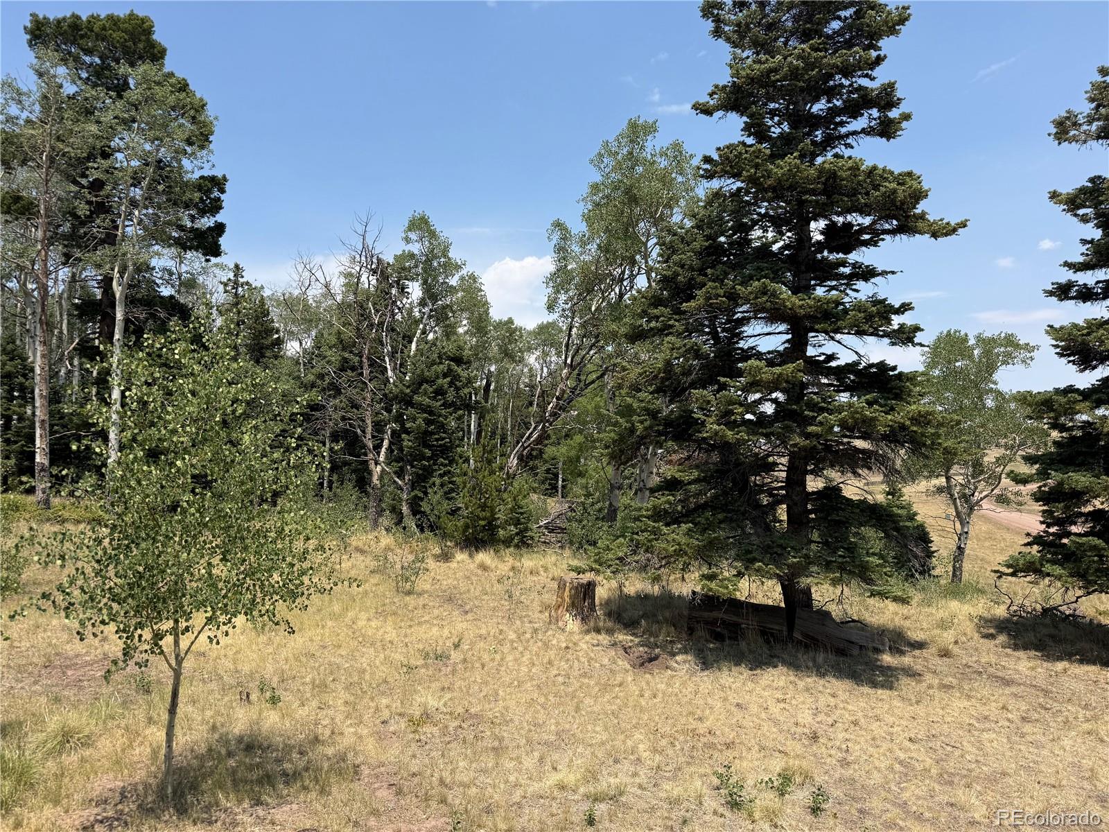 MLS Image #17 for 2357  benton place,fort garland, Colorado