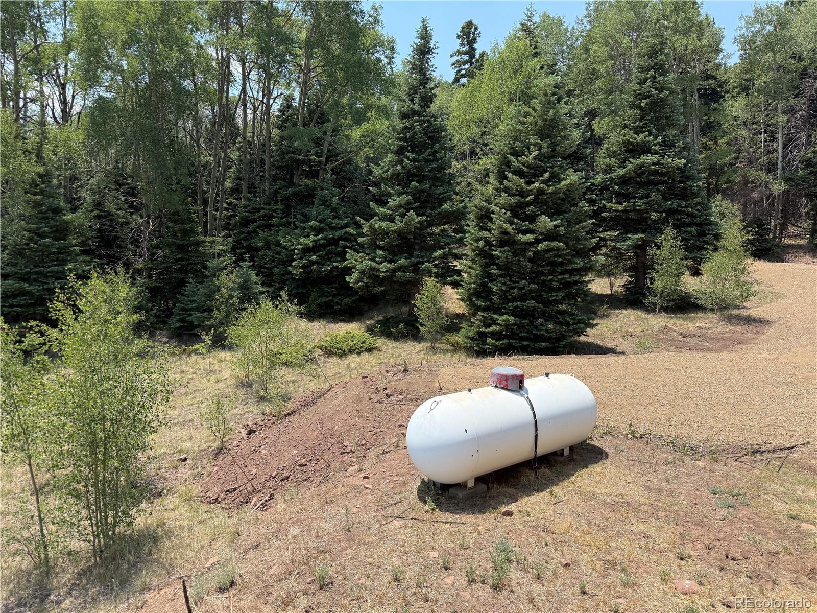 MLS Image #18 for 2357  benton place,fort garland, Colorado