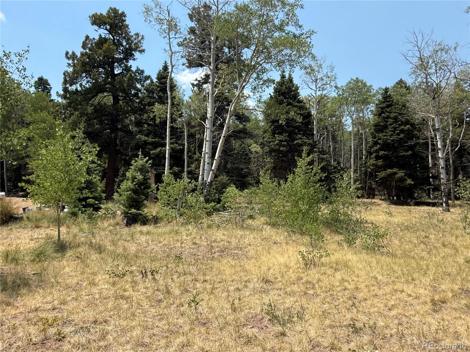MLS Image #2 for 2357  benton place,fort garland, Colorado