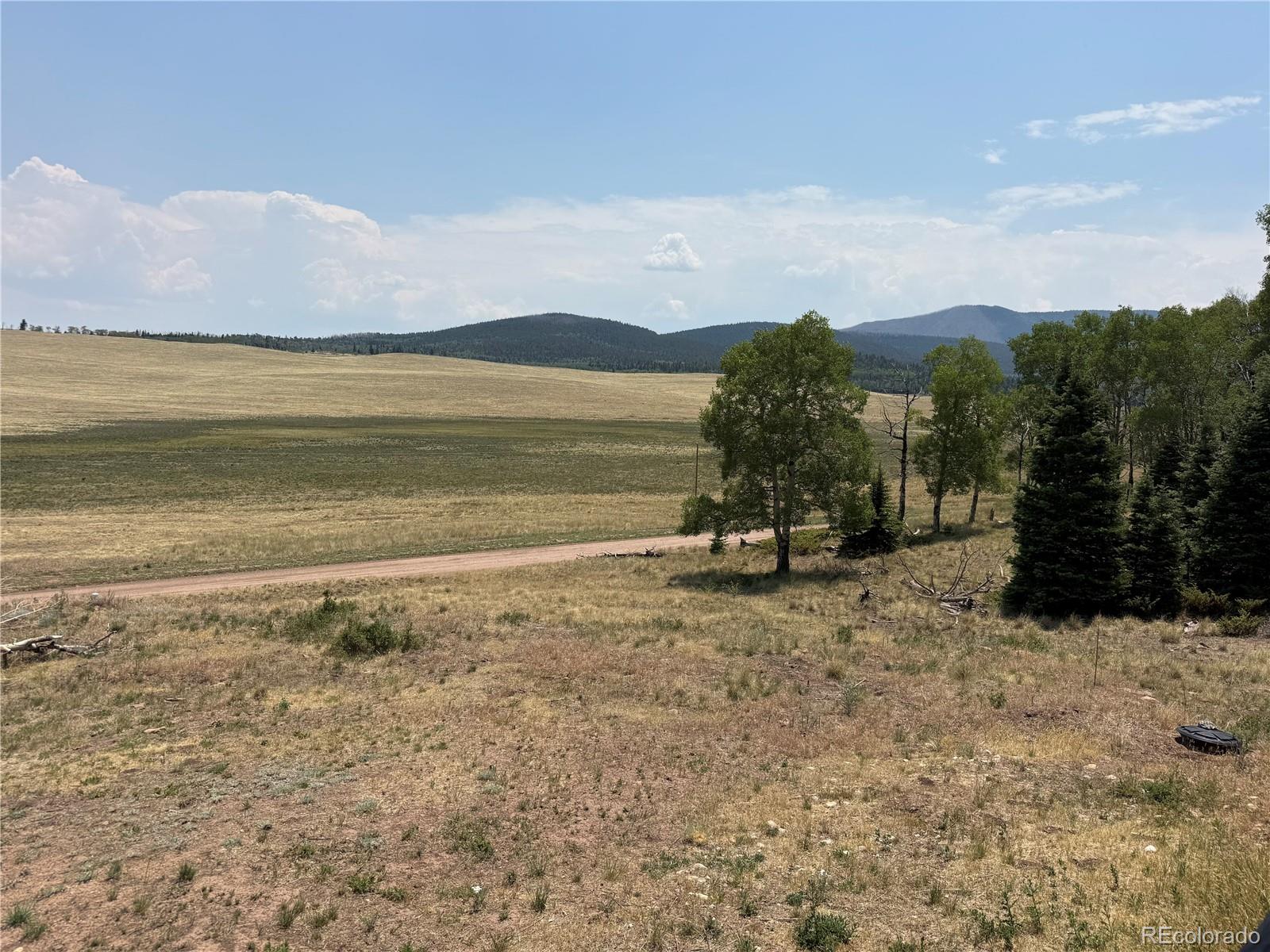 MLS Image #20 for 2357  benton place,fort garland, Colorado