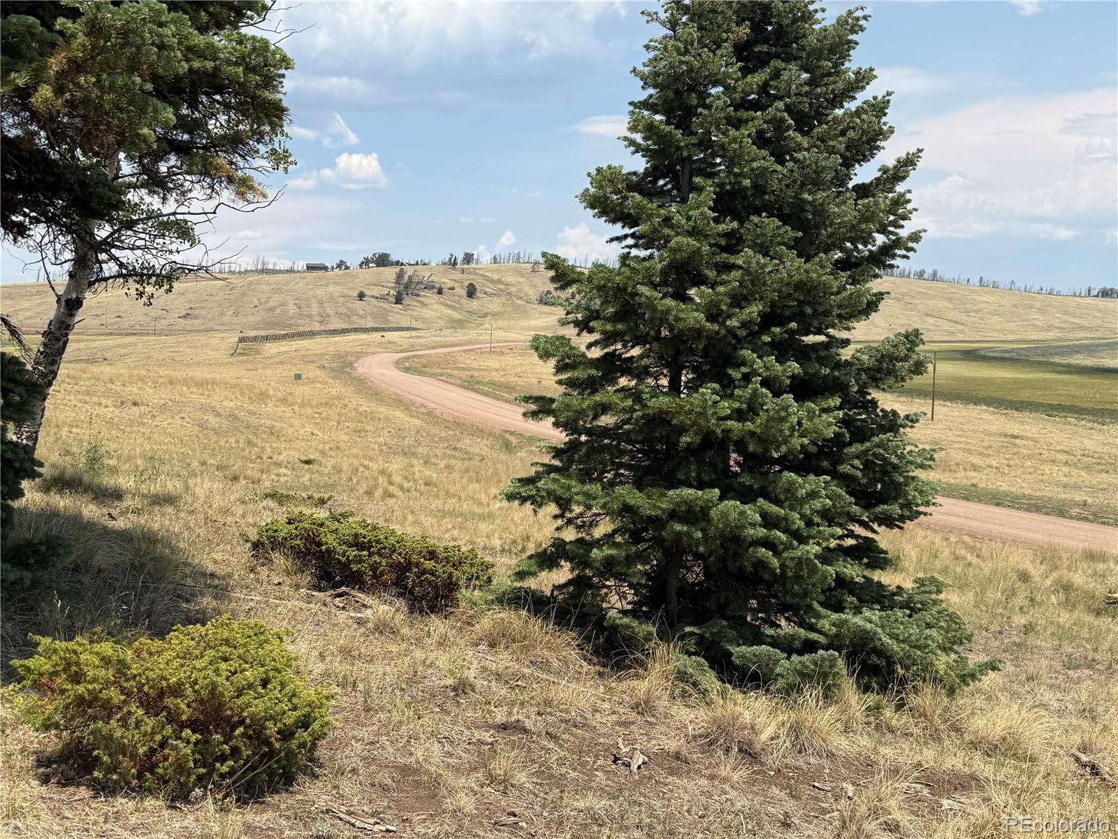 MLS Image #3 for 2357  benton place,fort garland, Colorado