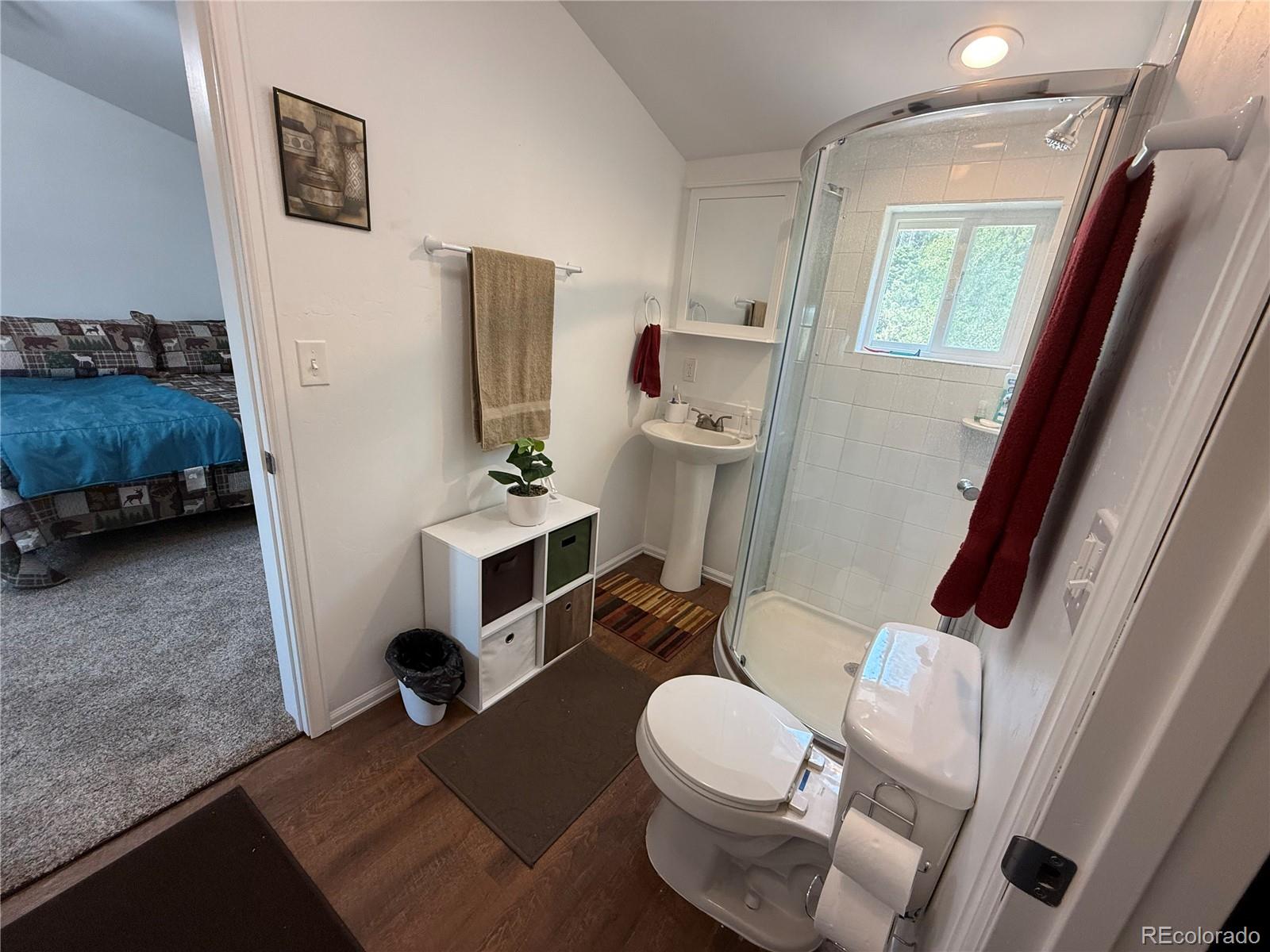 MLS Image #35 for 2357  benton place,fort garland, Colorado