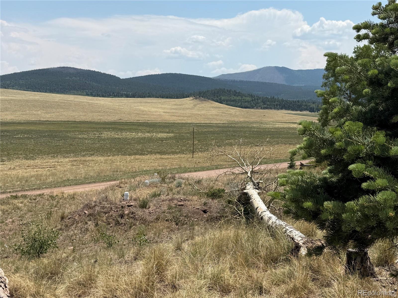 MLS Image #4 for 2357  benton place,fort garland, Colorado