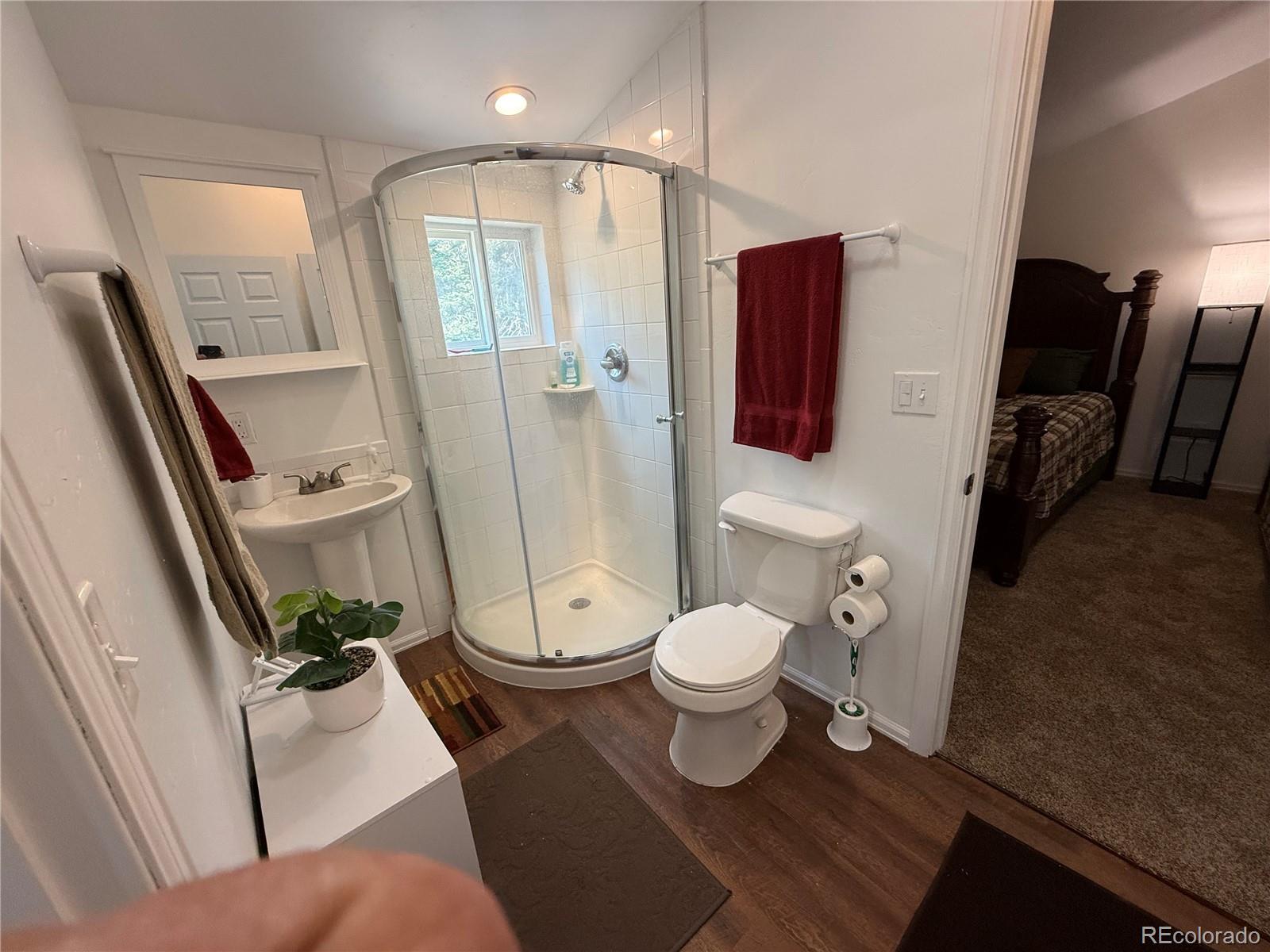MLS Image #40 for 2357  benton place,fort garland, Colorado