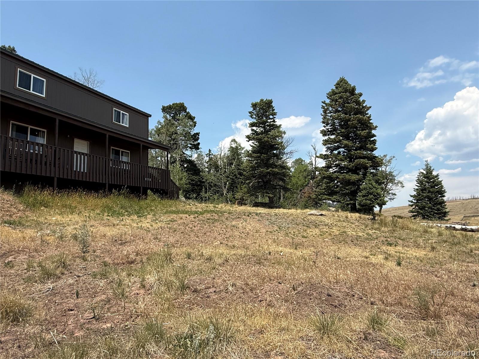 MLS Image #8 for 2357  benton place,fort garland, Colorado