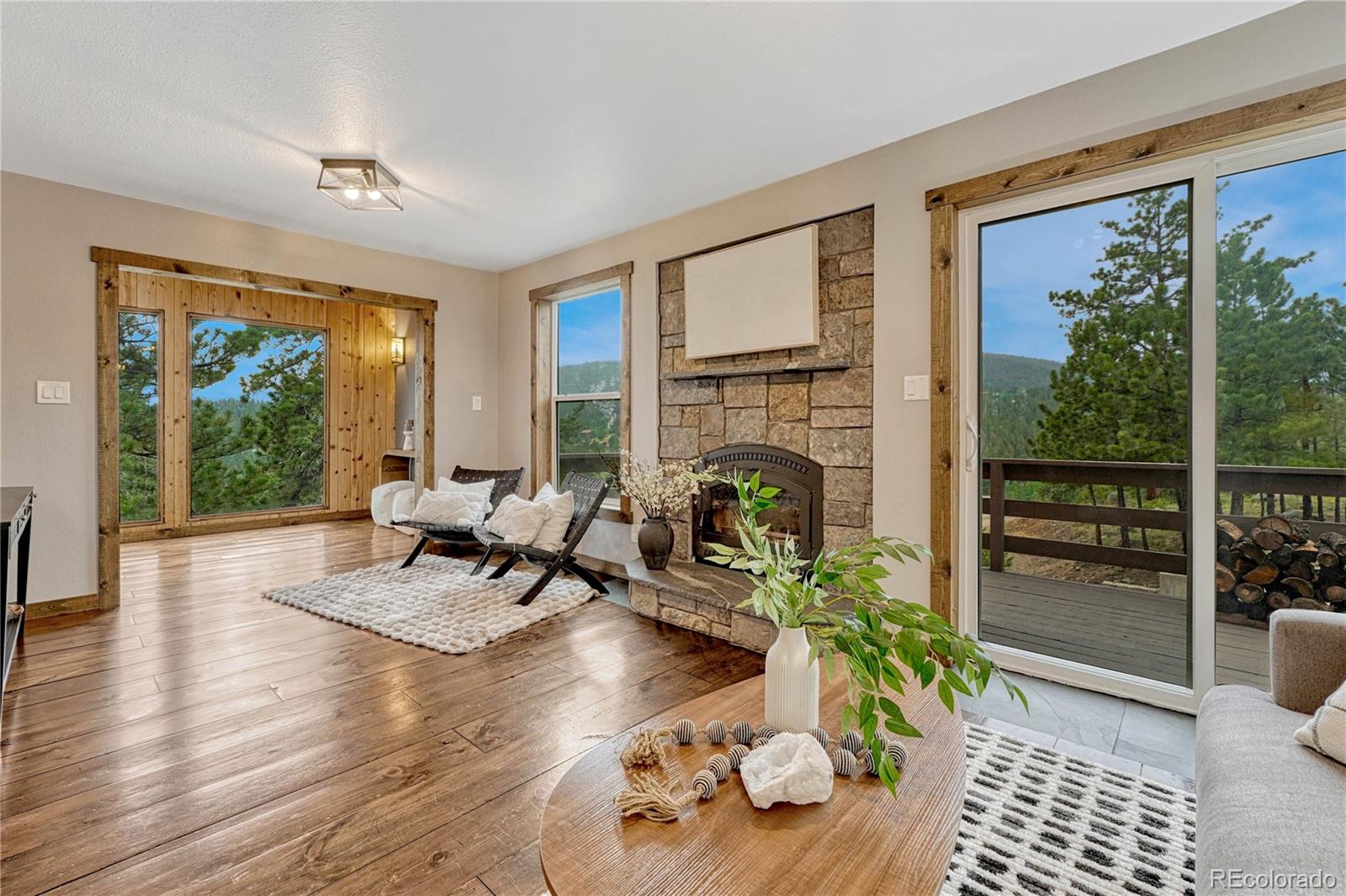 MLS Image #11 for 19 e pine drive,bailey, Colorado