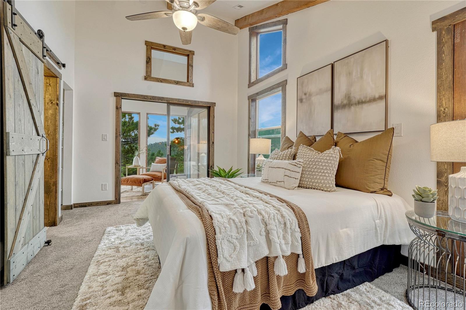 MLS Image #19 for 19 e pine drive,bailey, Colorado