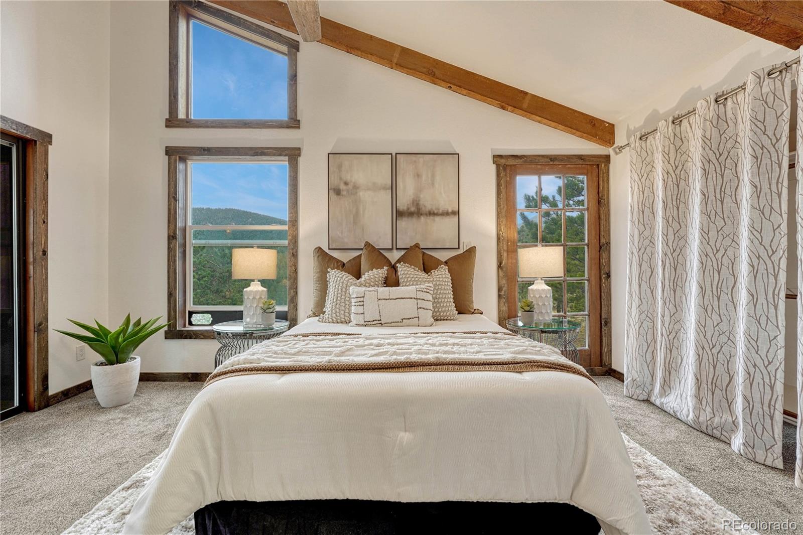 MLS Image #20 for 19 e pine drive,bailey, Colorado